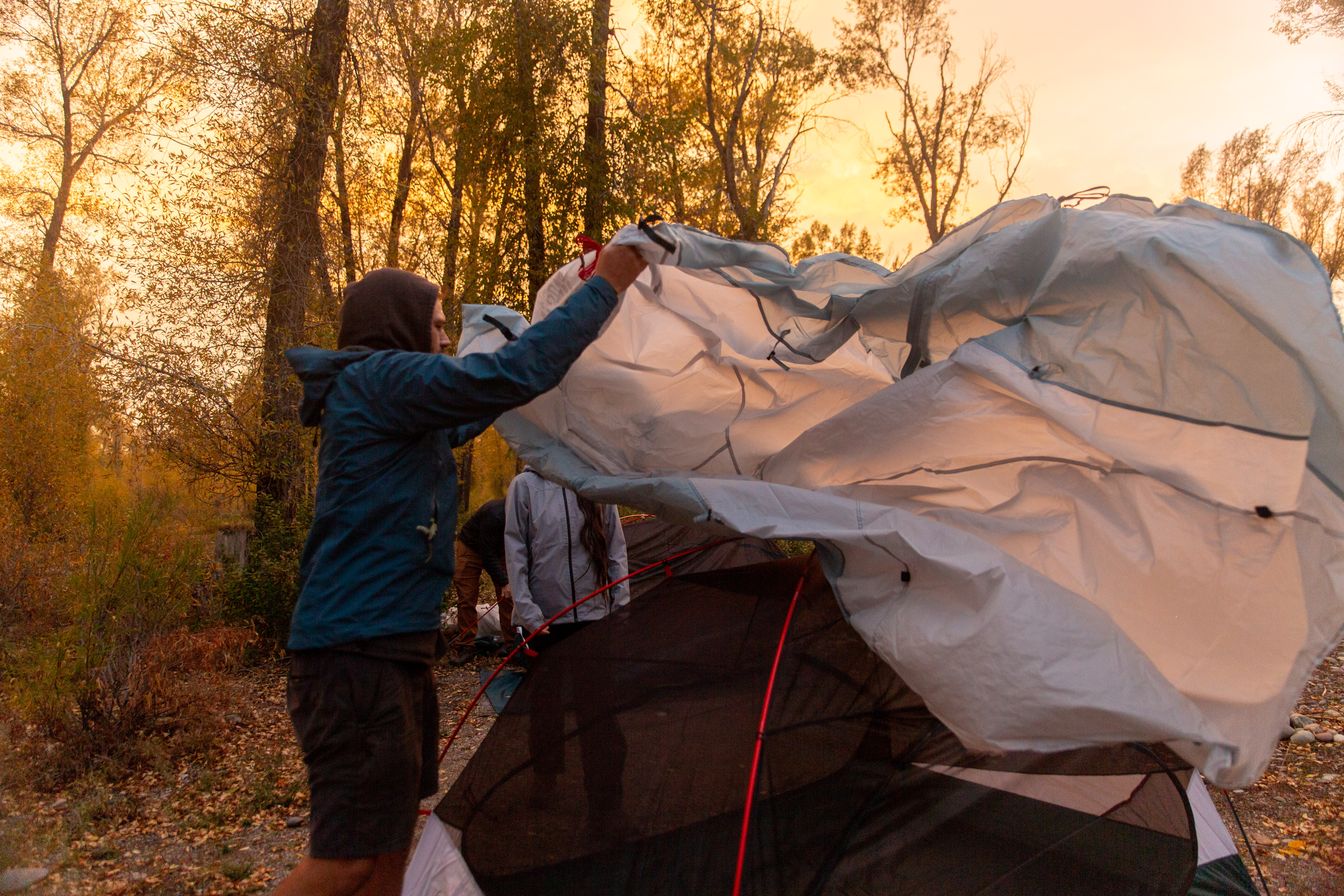 media_PVHCPDSQA3WHD8RQ