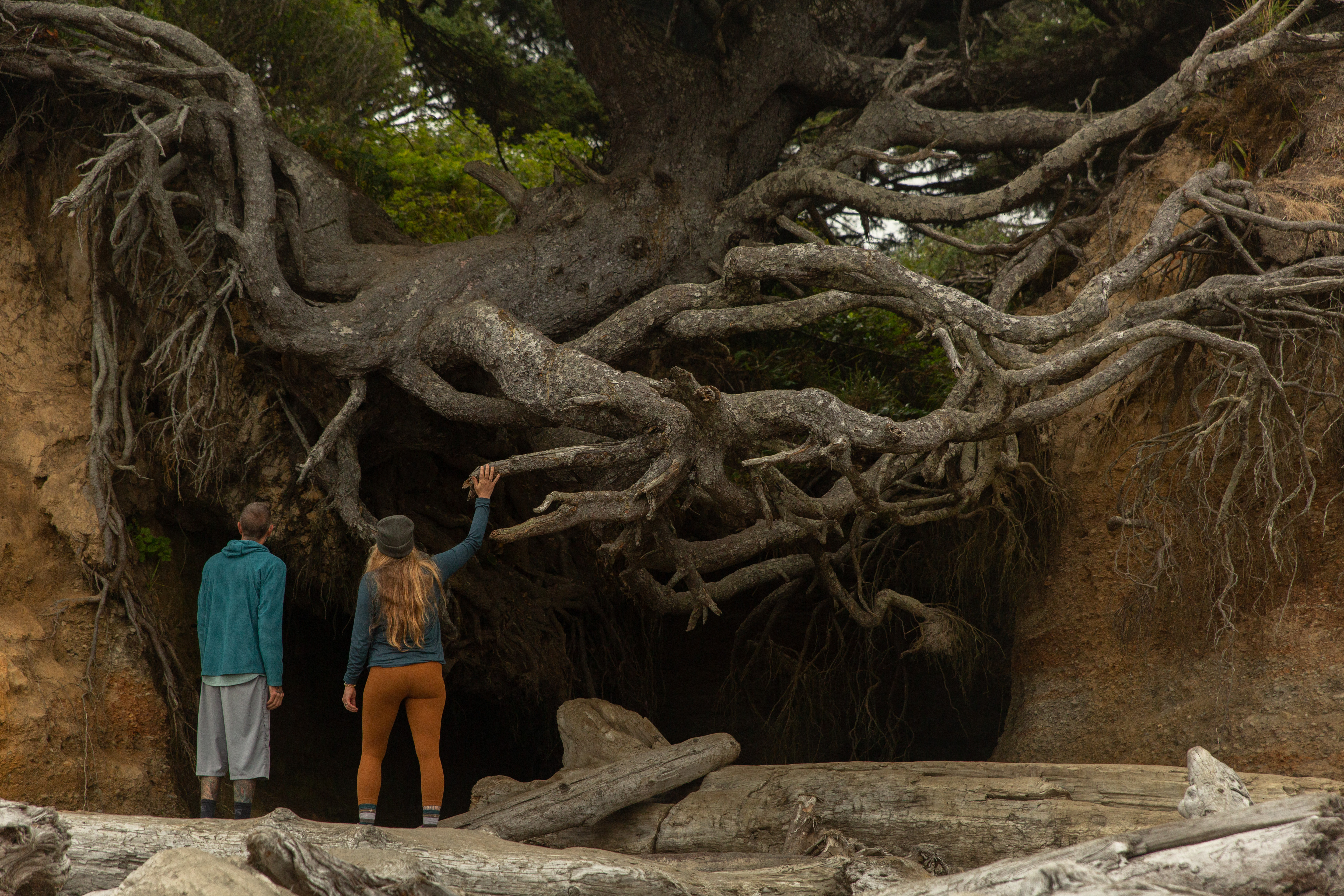 media_RGZ42ZMVDFP38RJV