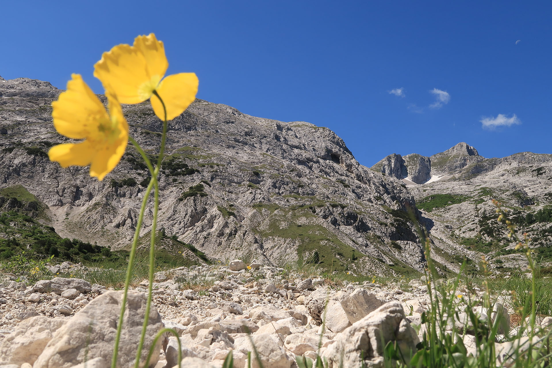 media_5QLKC3PGQHSA8AGS