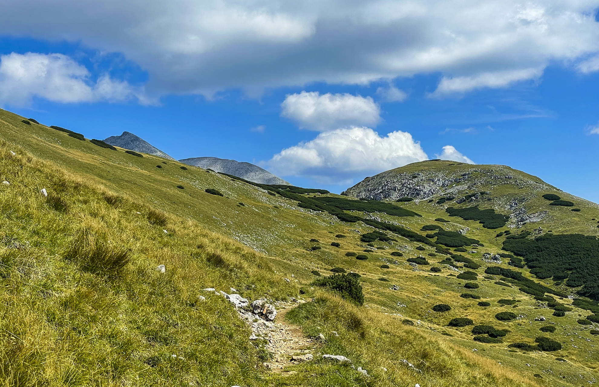 media_95NAPYJJL4P9EH8D