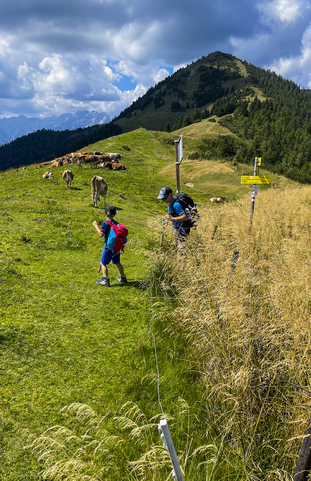 media_EP54BS2F6CRQPHKE