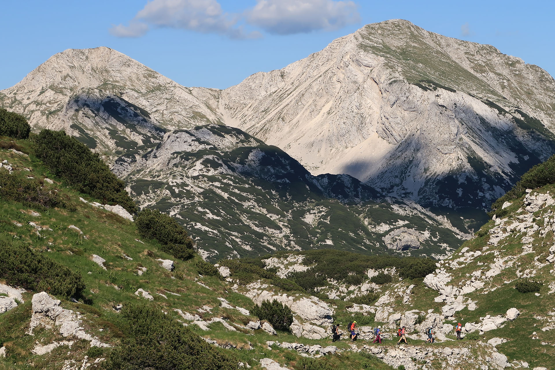 media_Q7WVGDEPH2EQ46HG