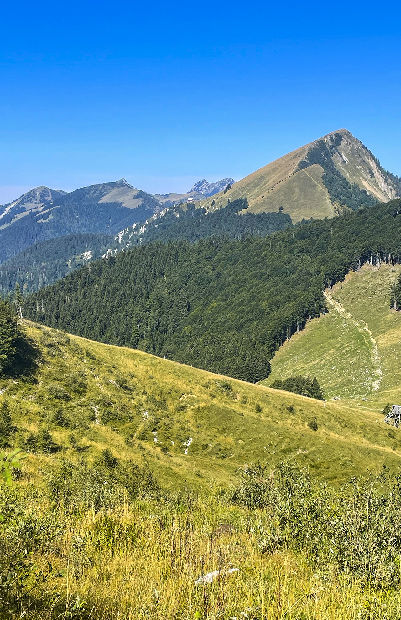 media_QLYCRXSJ286PBNGV