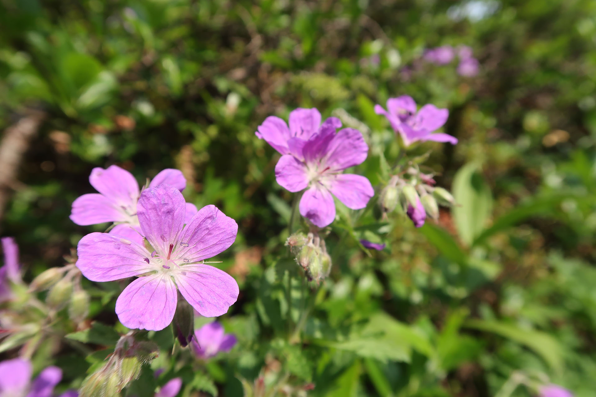 media_XXFYZP48CDJ988TG