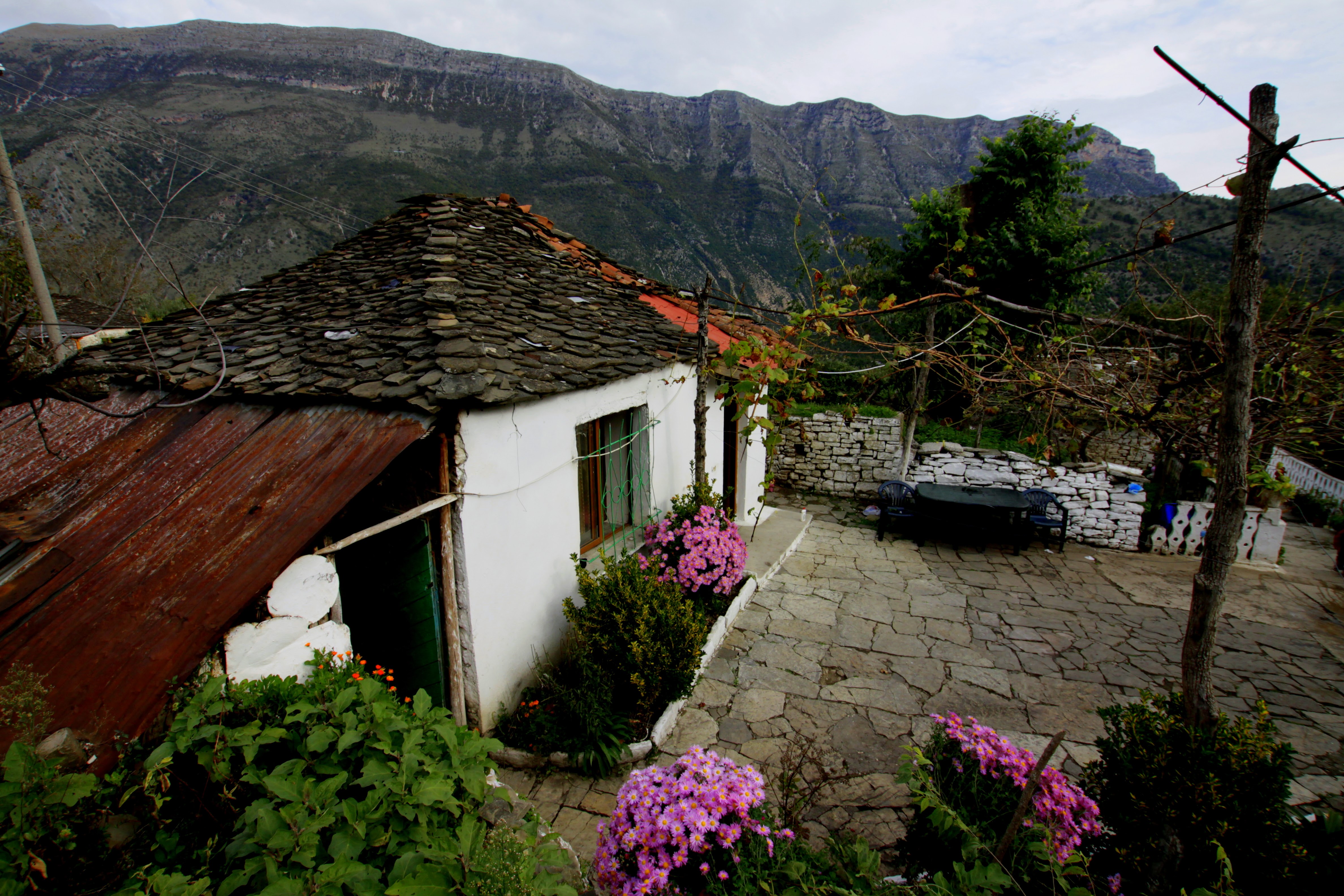 media_29WDZRT7FYUANRG6