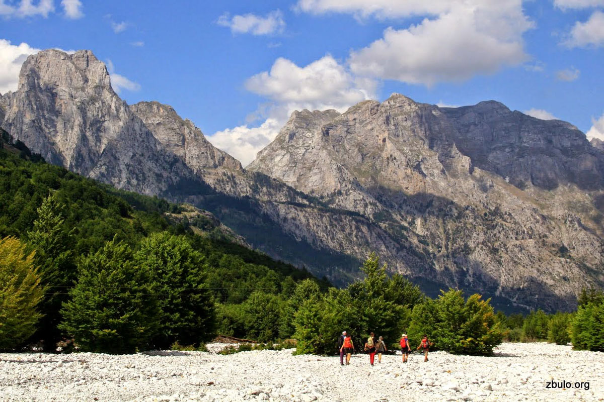 media_4M4GZSMLS9TSN5Z6