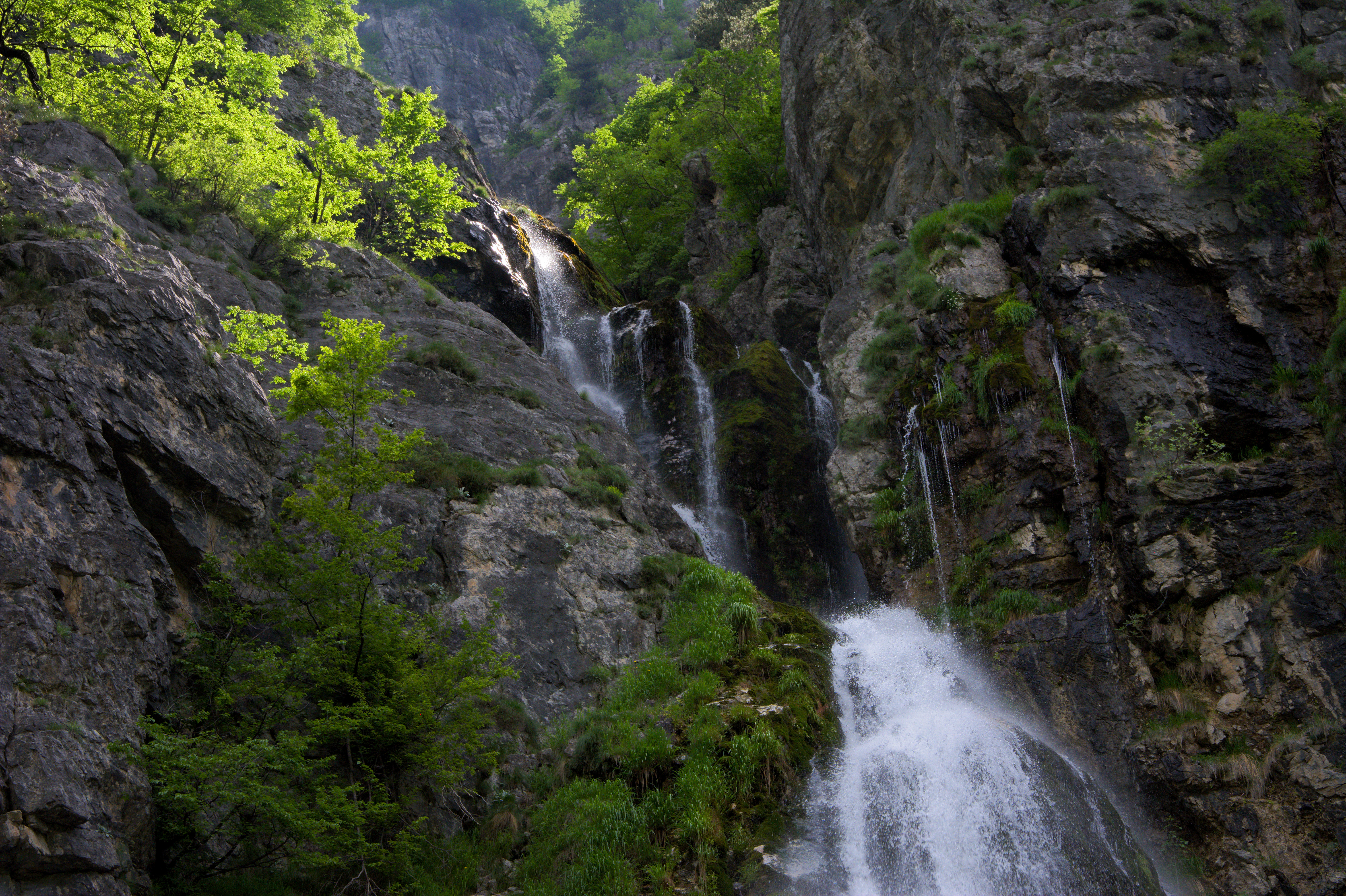 media_7KBBT4NM7AVSW3GS