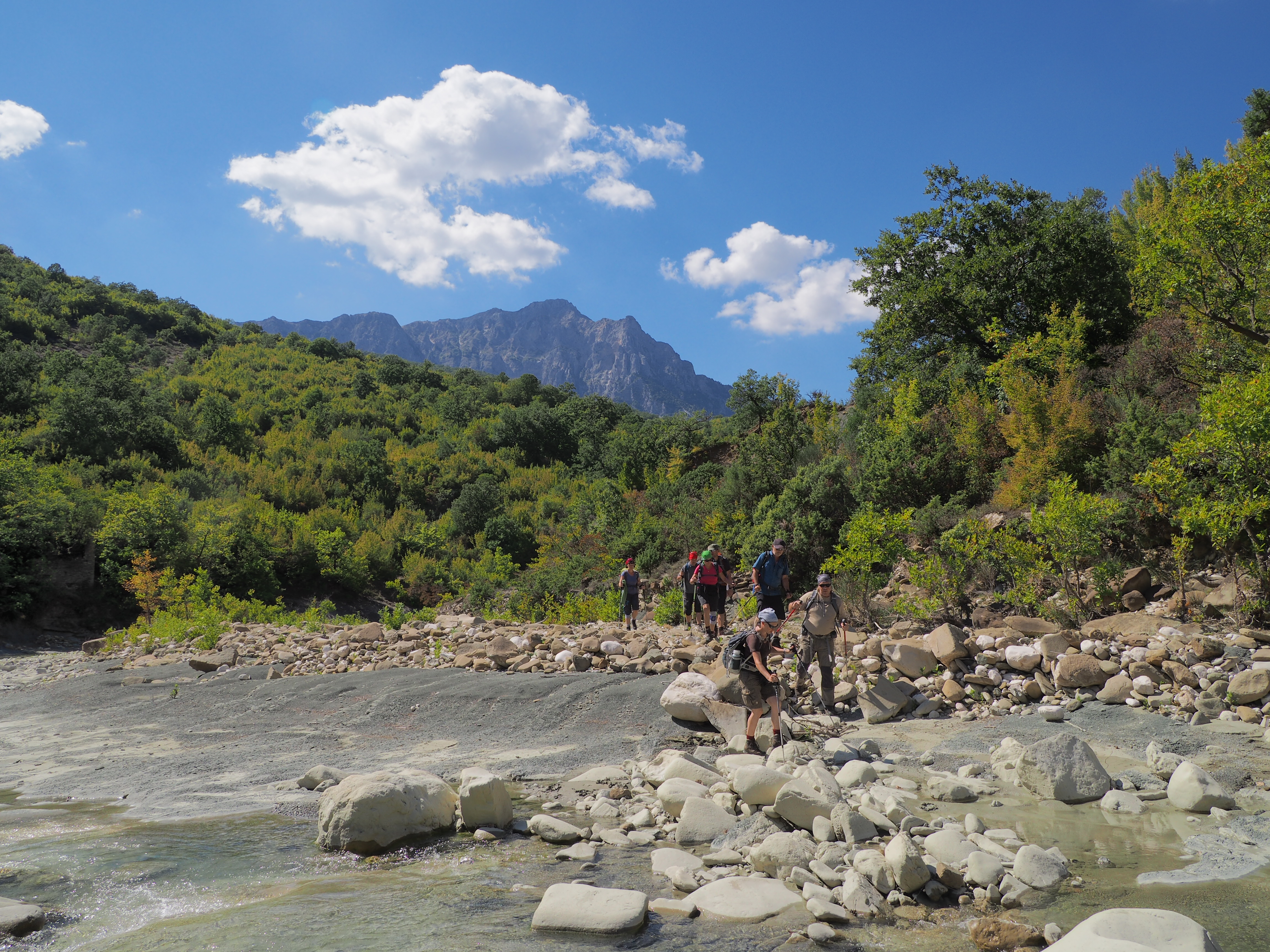 media_8JD22NR4N8YA2J6X