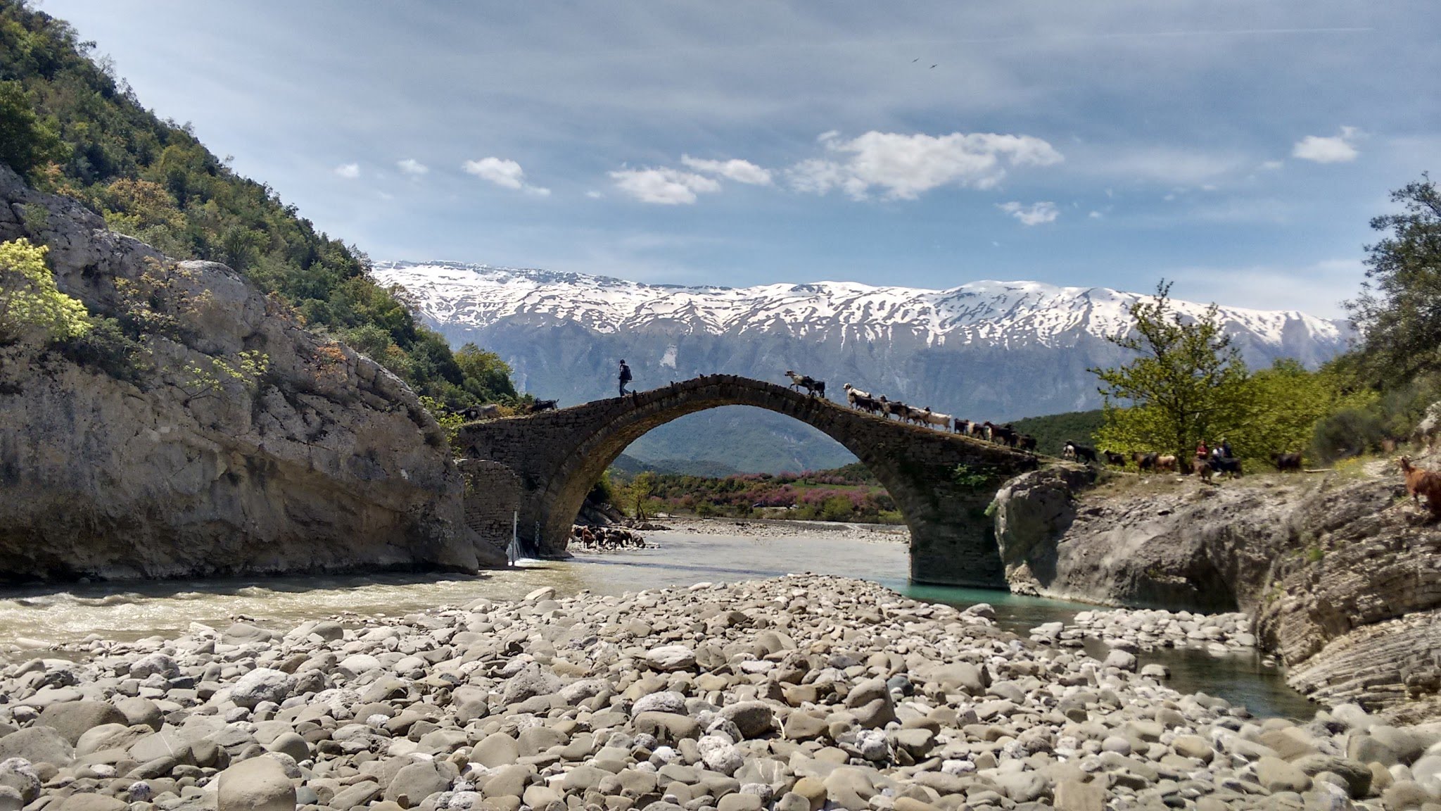 media_8UVQJRNGGD89Q98J