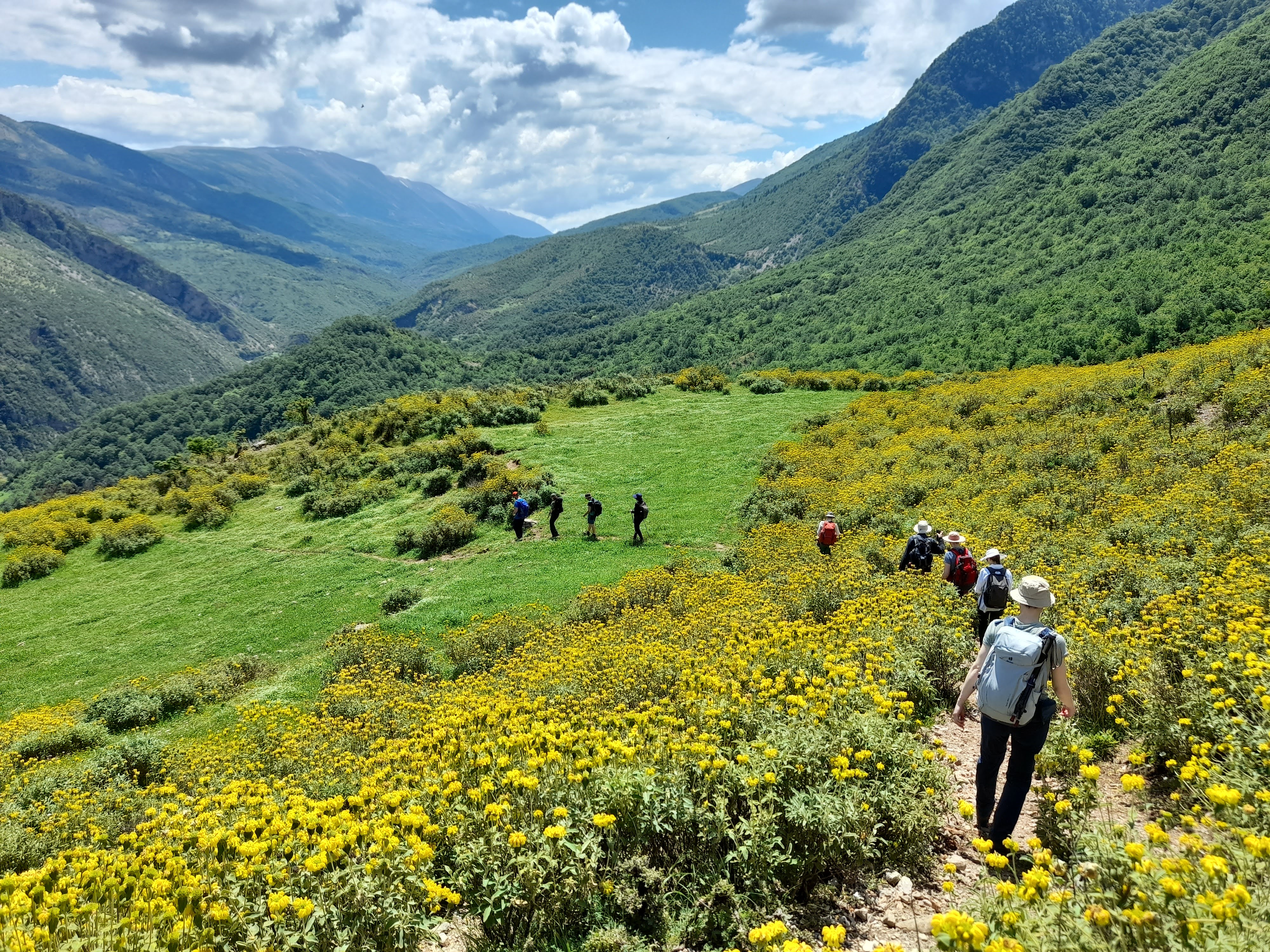 media_9HUANPCF8UCA6XQ6