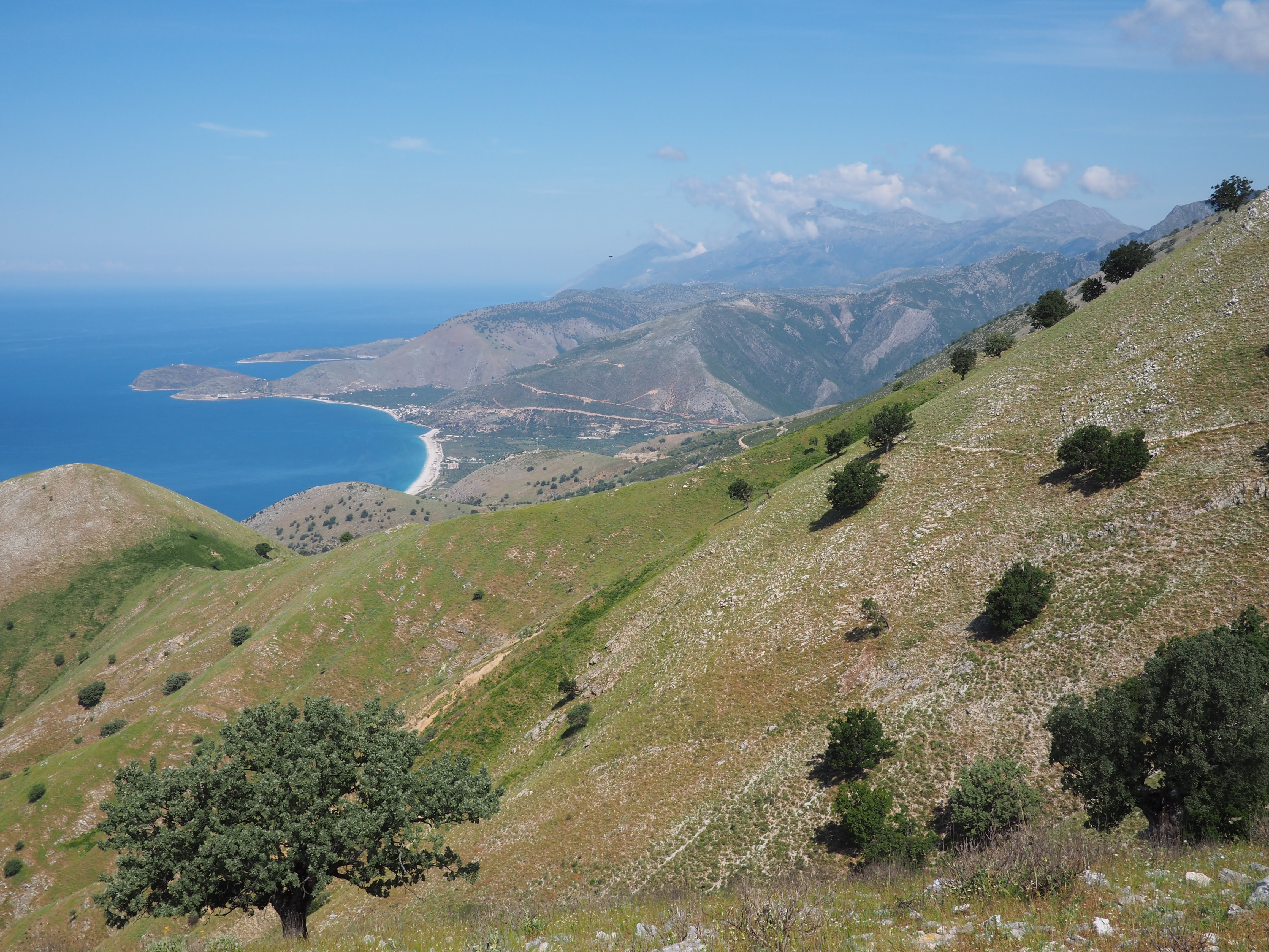 media_APNR6LVB3EN6EZR8