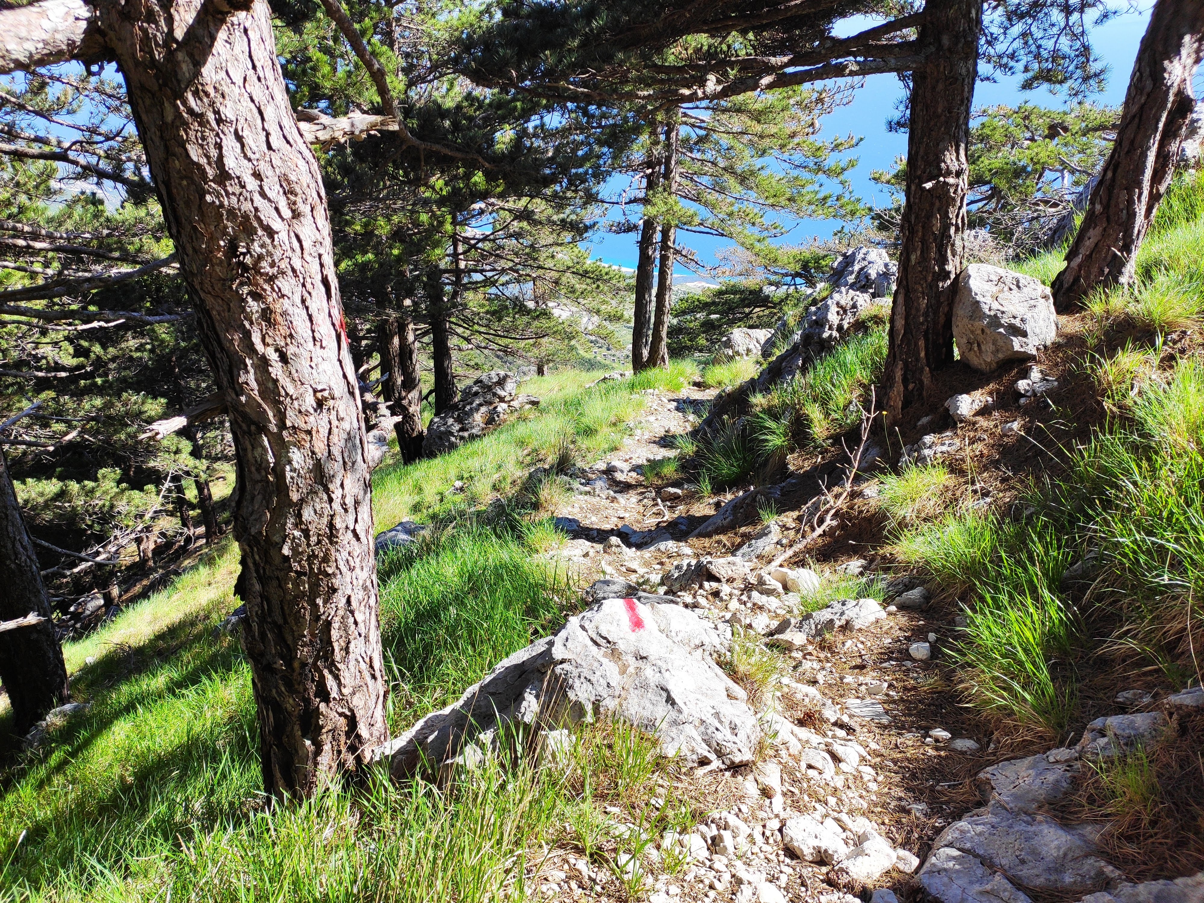 media_B2KZT8HTB9QH845D