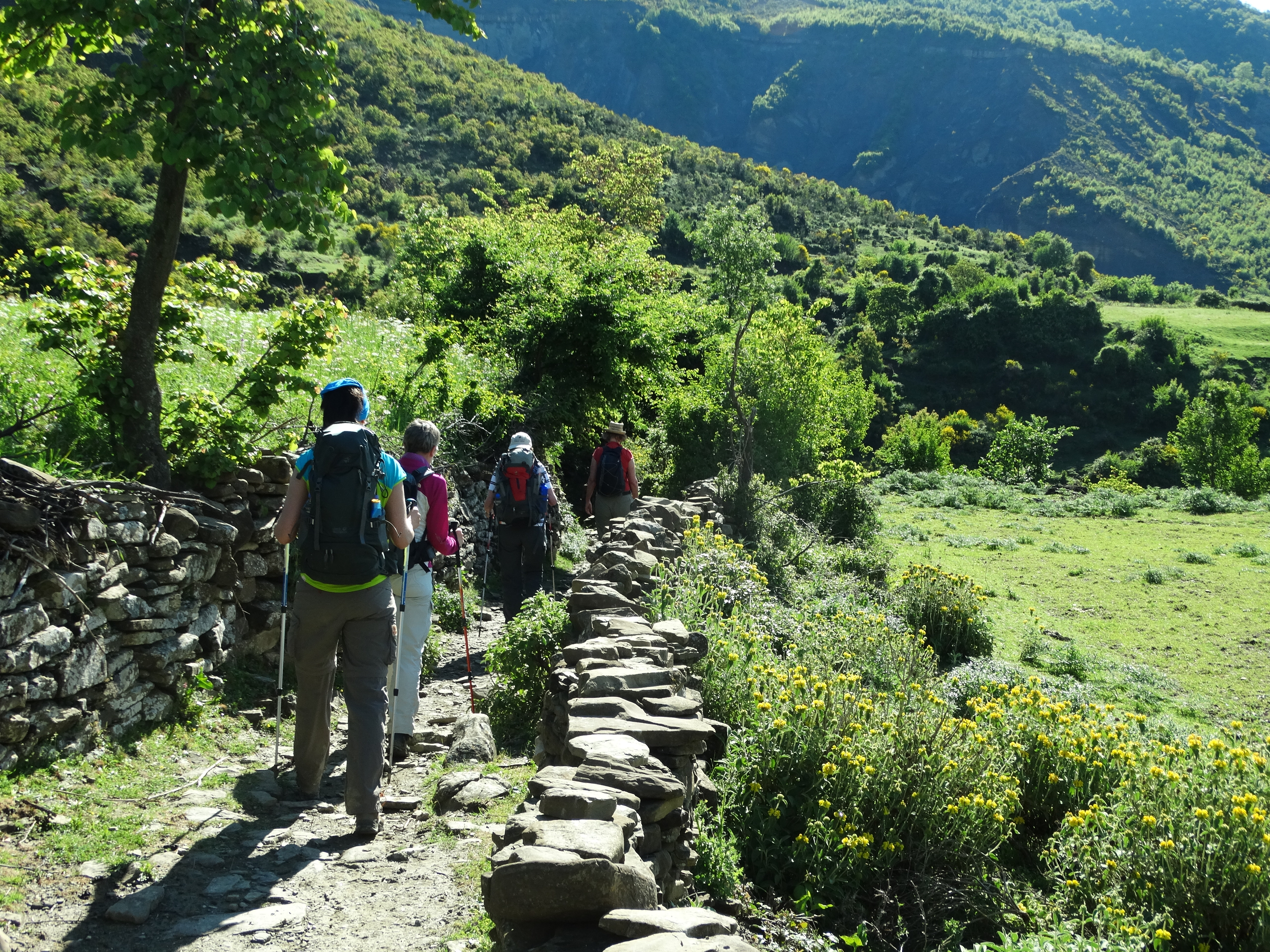 media_CRL4R32R6BR8TUJ8