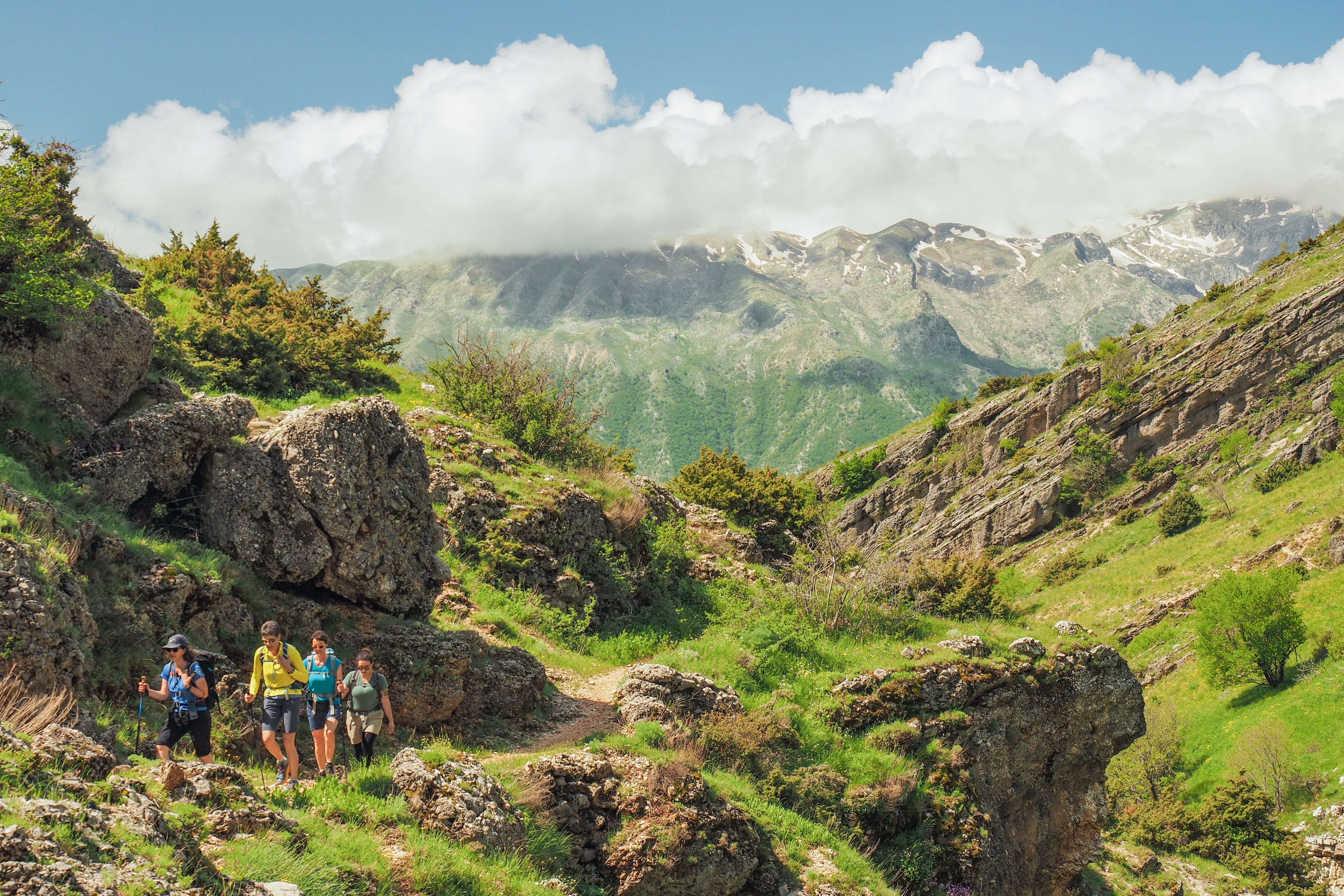 media_F38ZAW4TFDAN3954