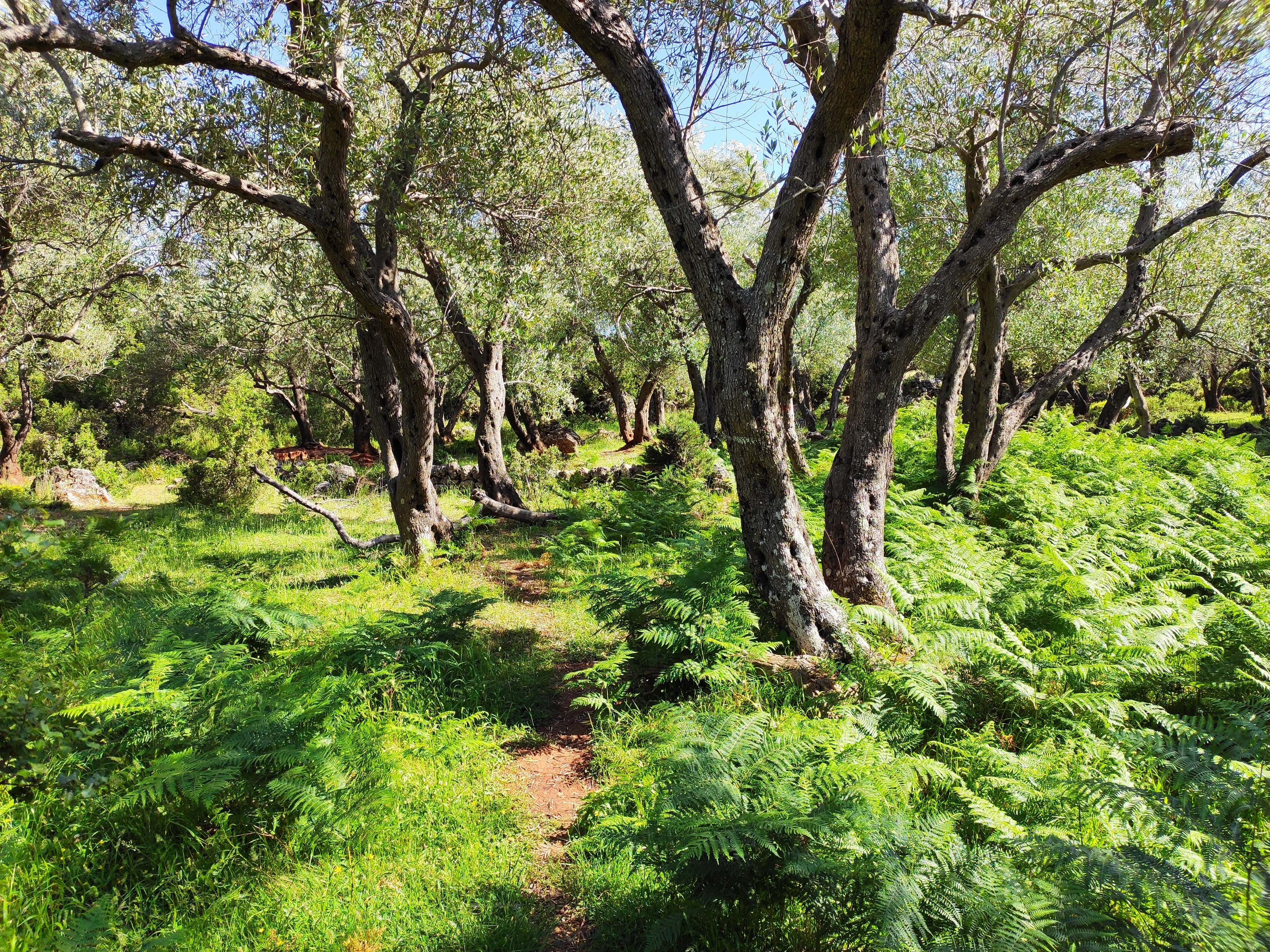 media_FYMRZ5CNS6QXHX98