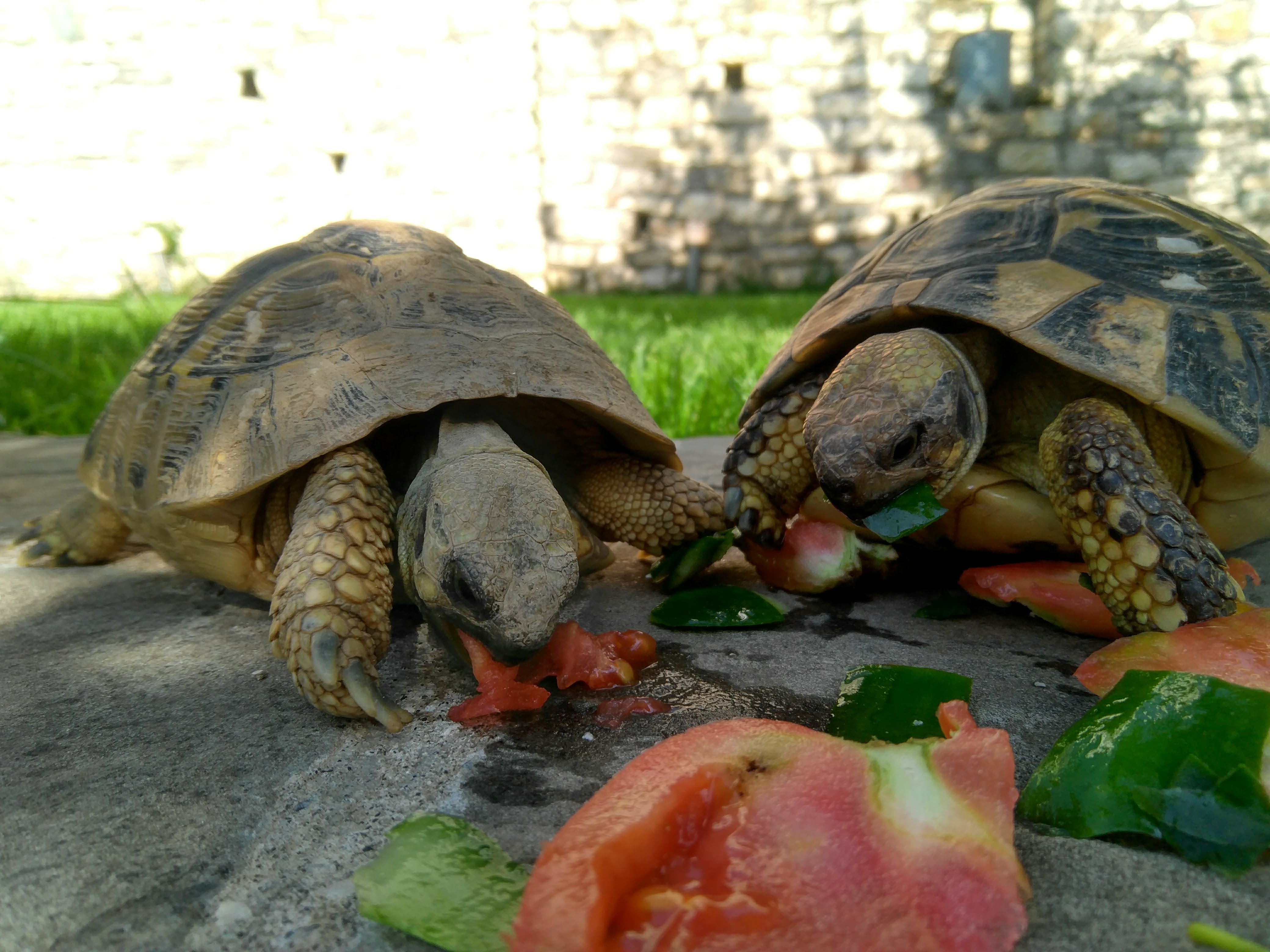 media_GKRCU6595VQX853H