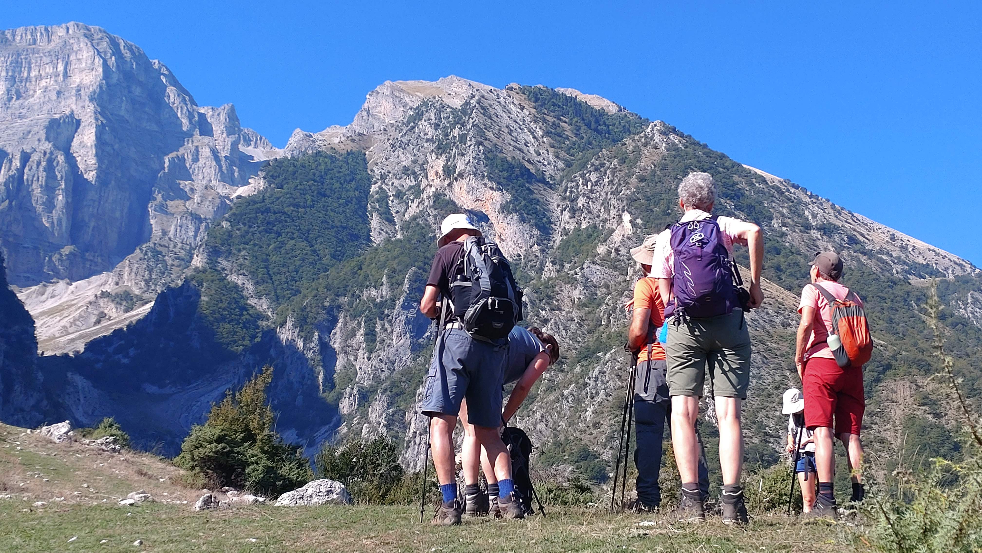 media_GSX429WUG9HHAQ8H