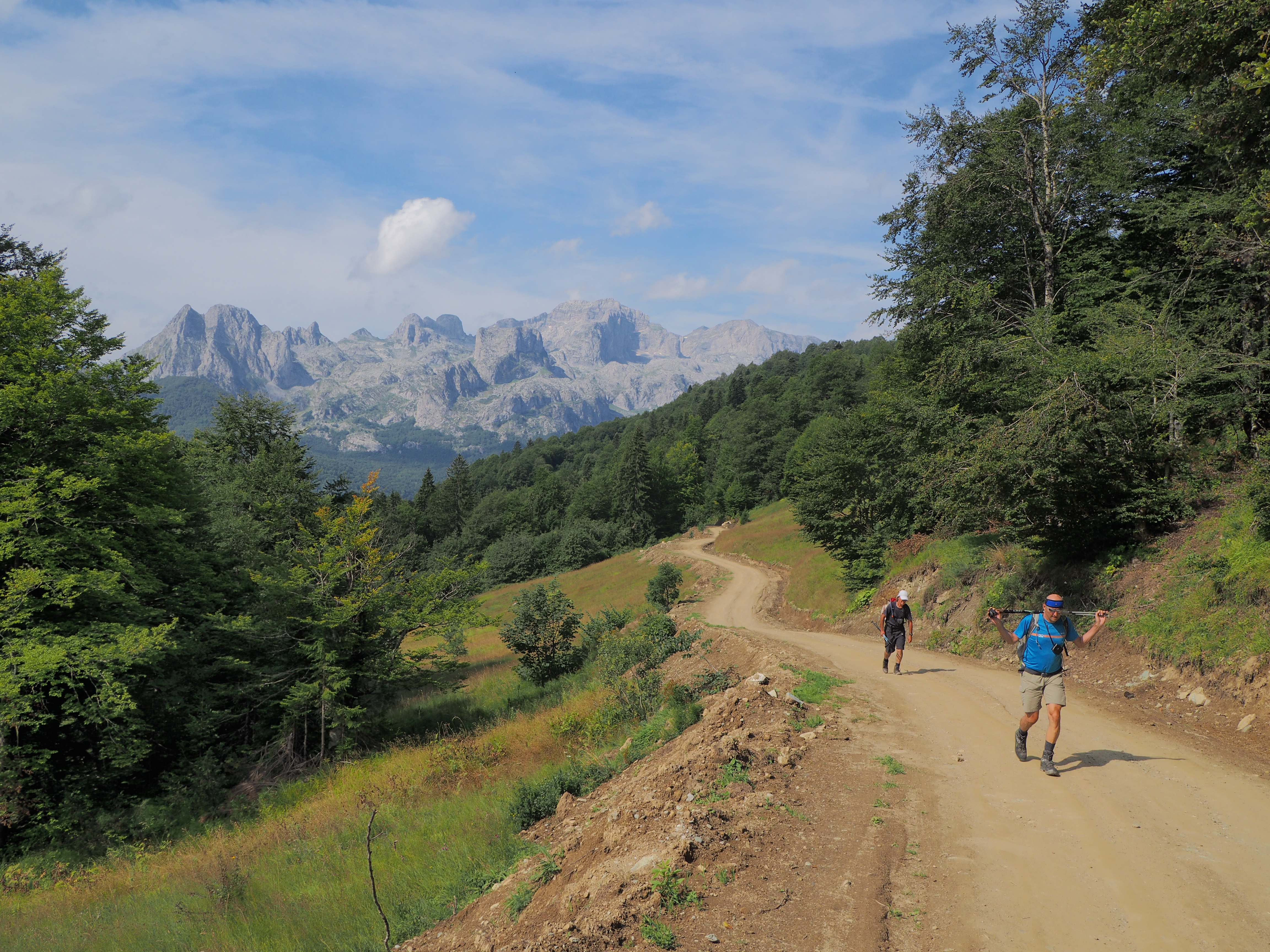 media_H6WRR6E868B5X9VZ