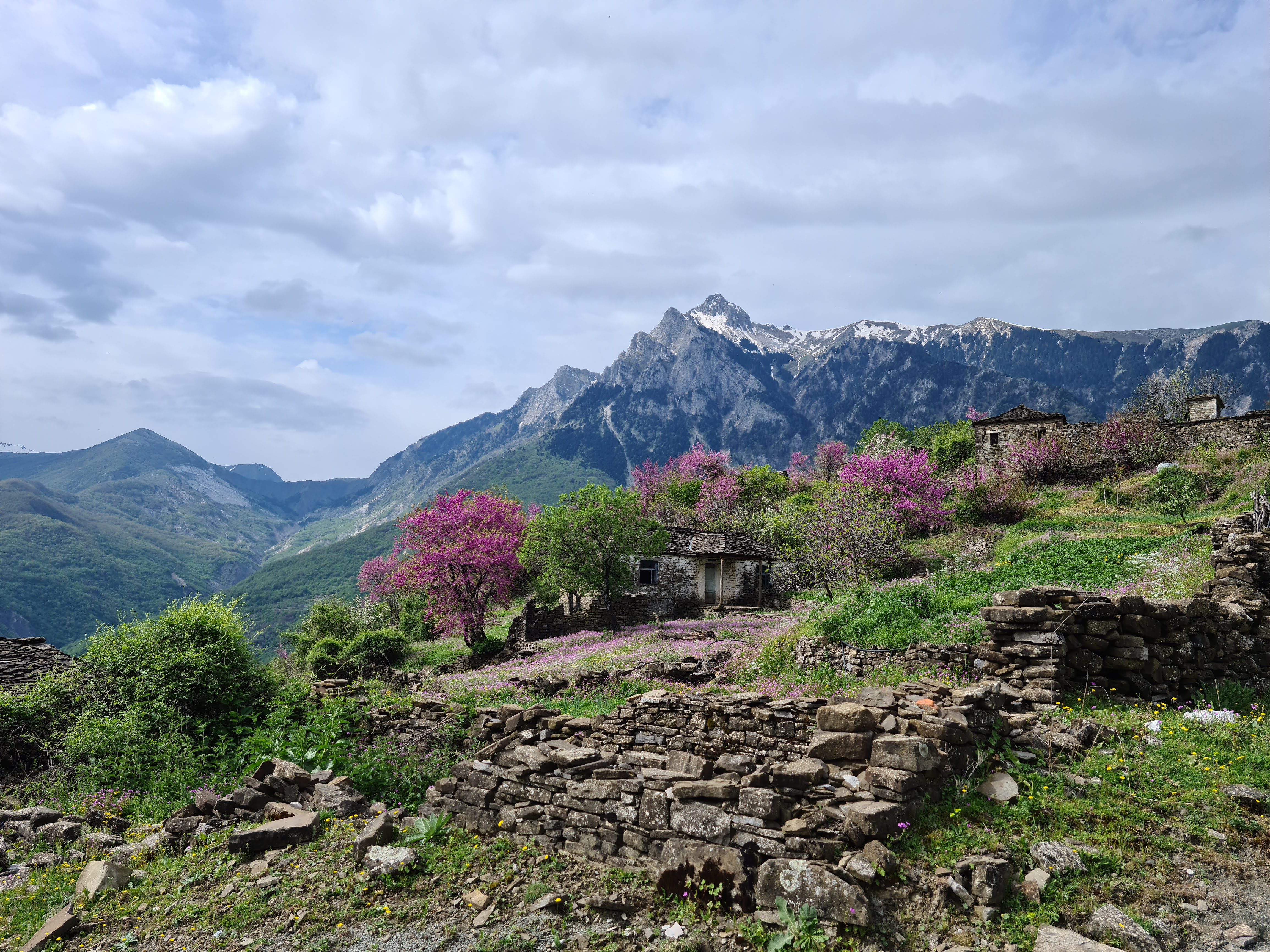 media_H8ED9M69STF33KRN