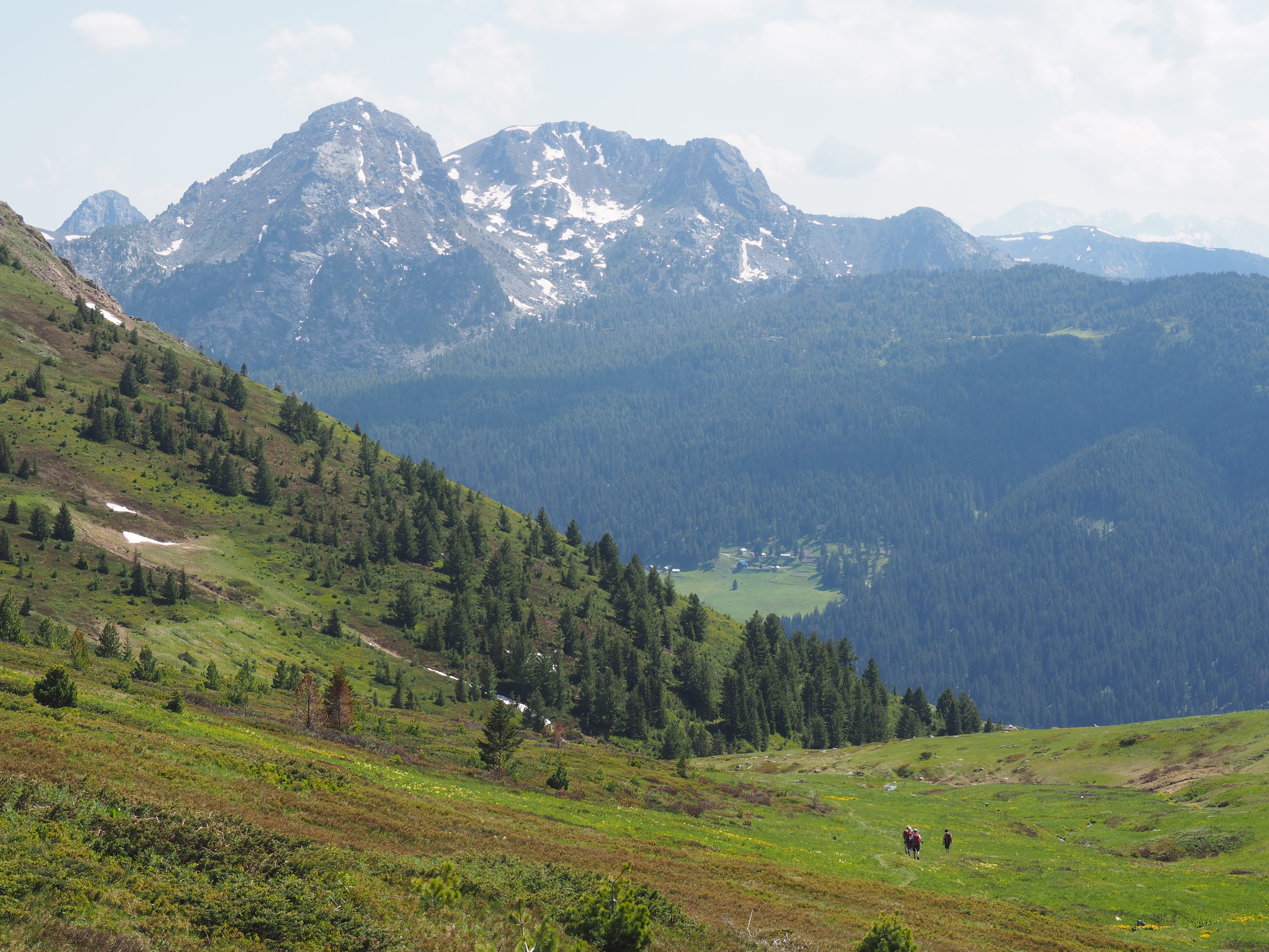 media_J2S6WWFZM98ZRNN2