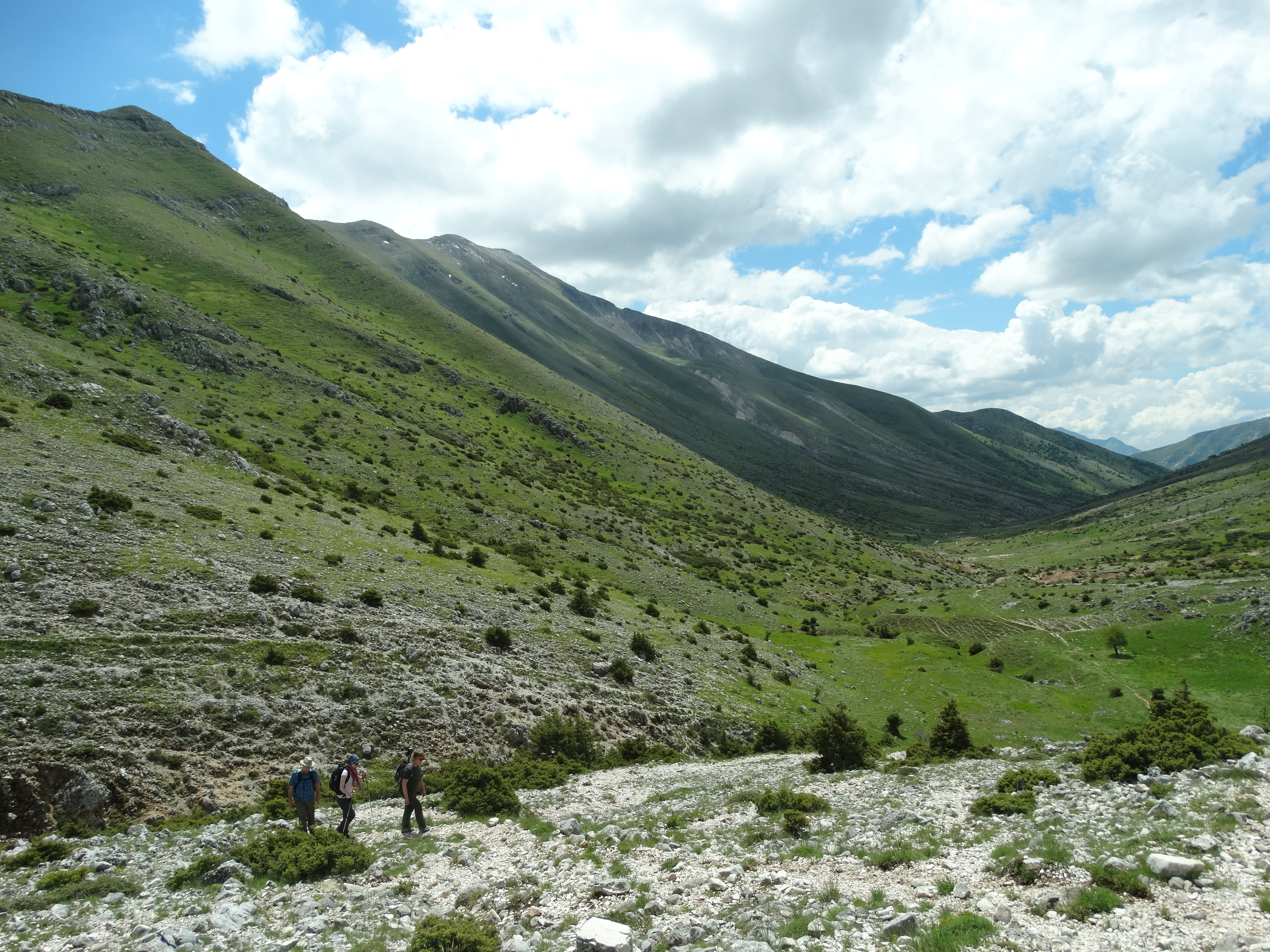 media_JZV5KRTCND7MANFT