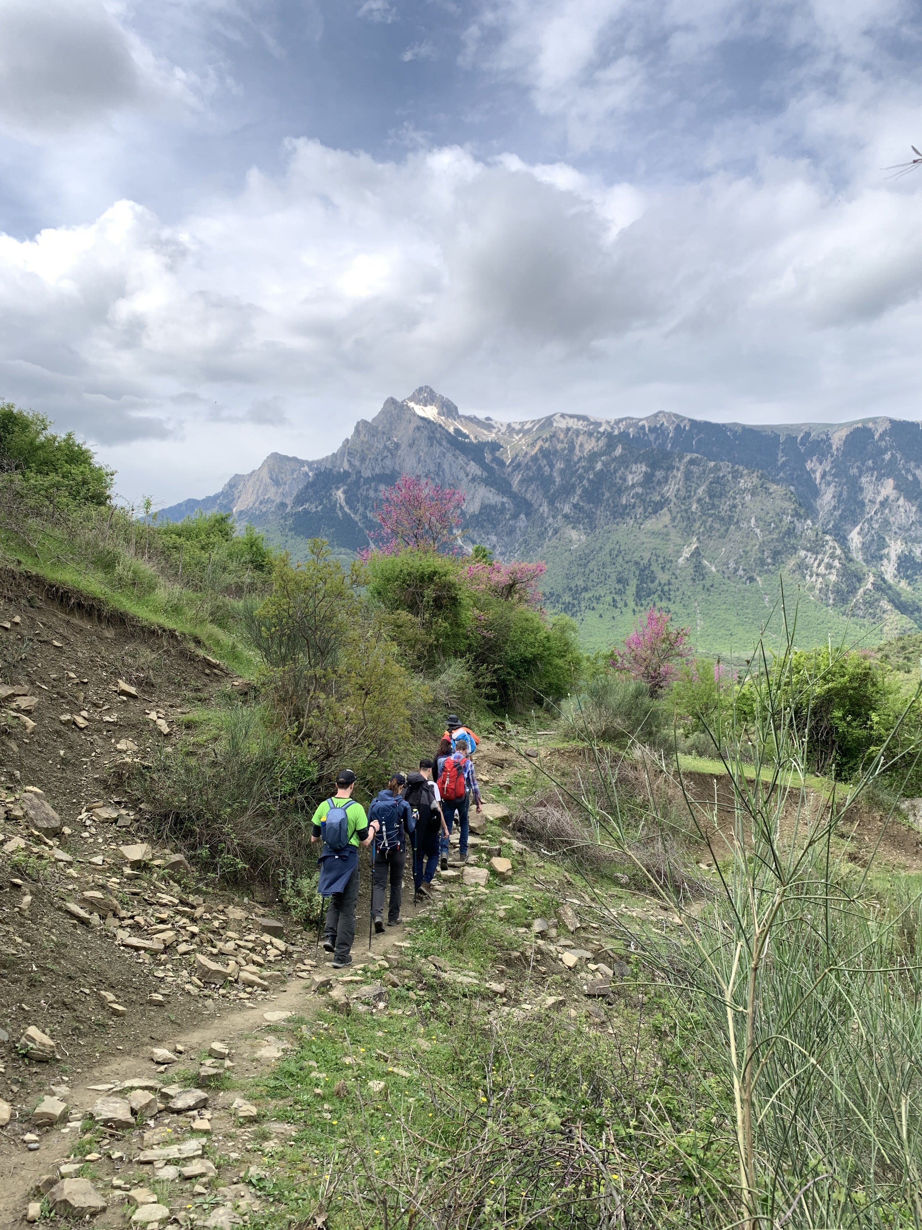 media_PJ2T62NTQWLBV653