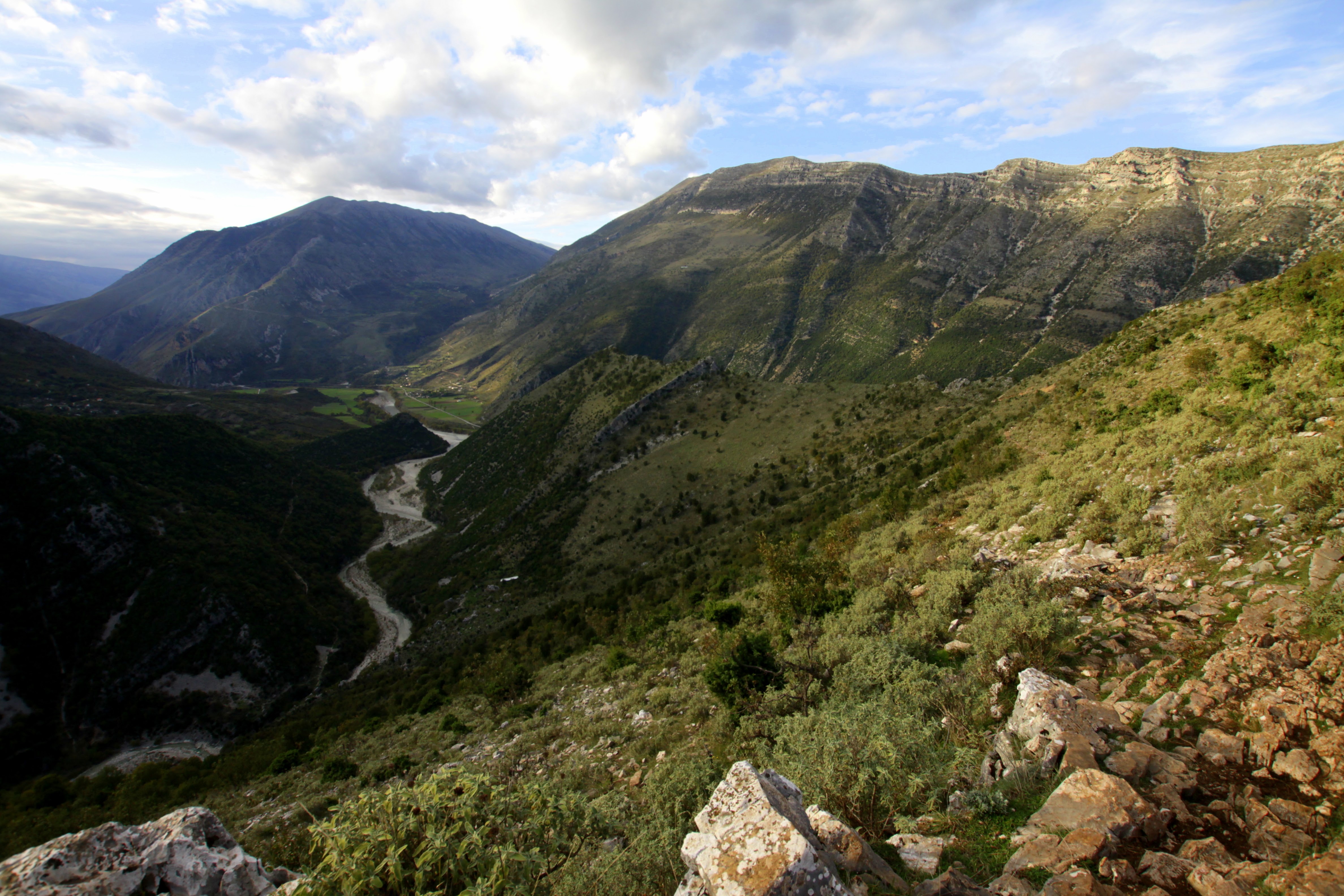 media_QFZEQ757VMN2P48J