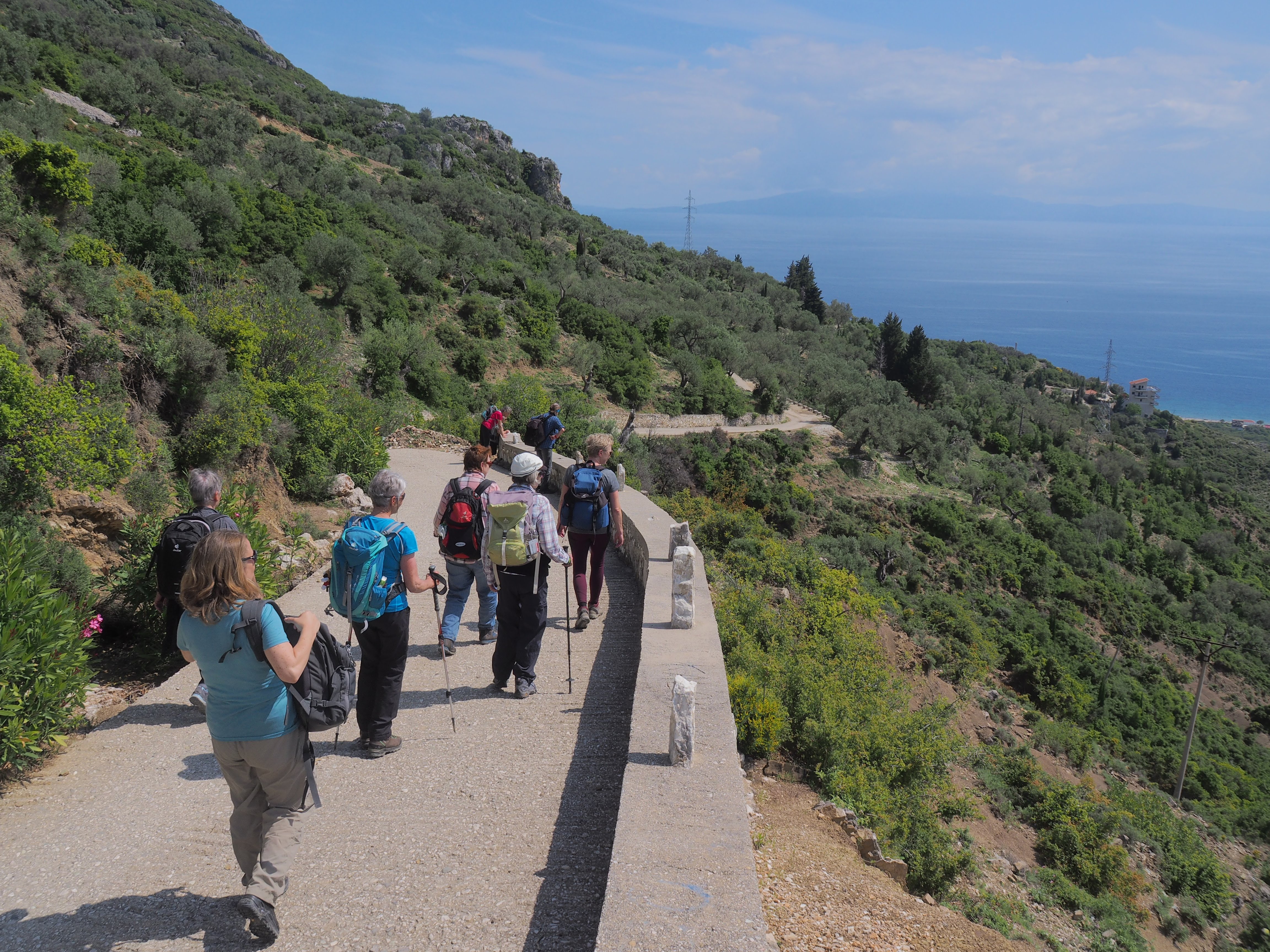 media_QUQTPJN9N6AF3YZD