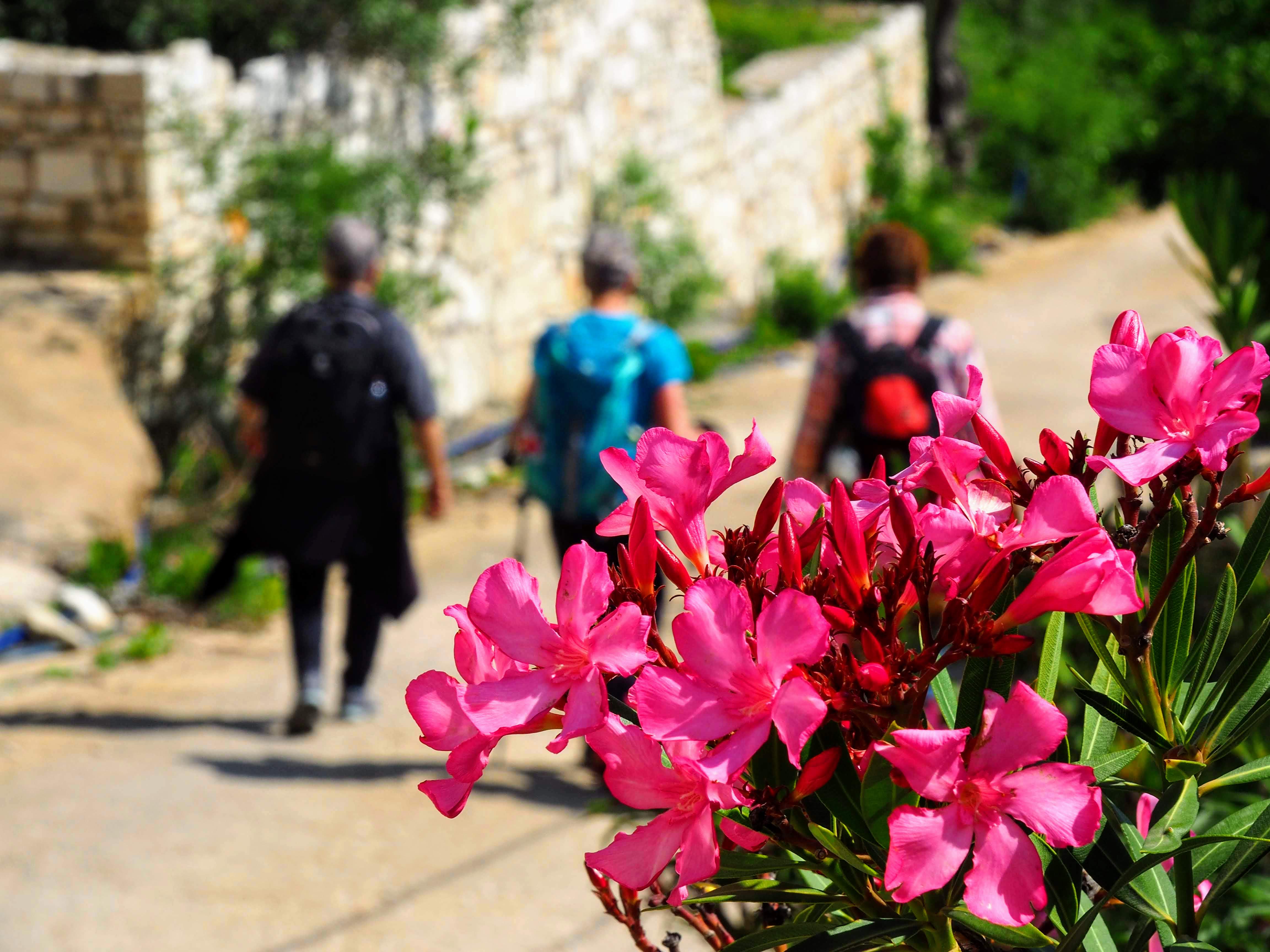Albanian Coastal Trail