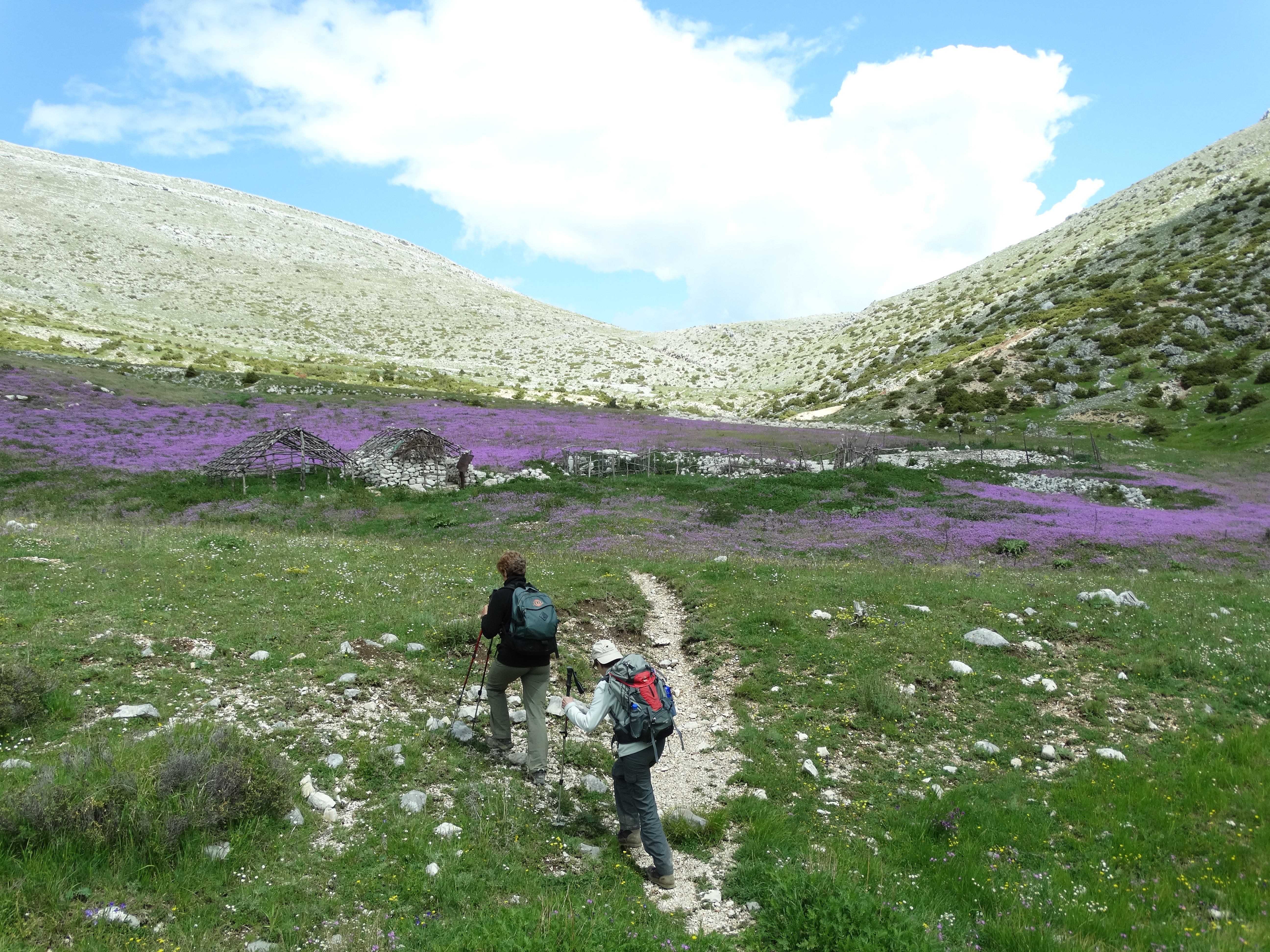 media_UCN4XE9C2X2R8WKA