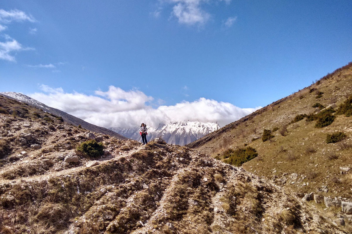 media_UWL2DVCGXZFT4MP2