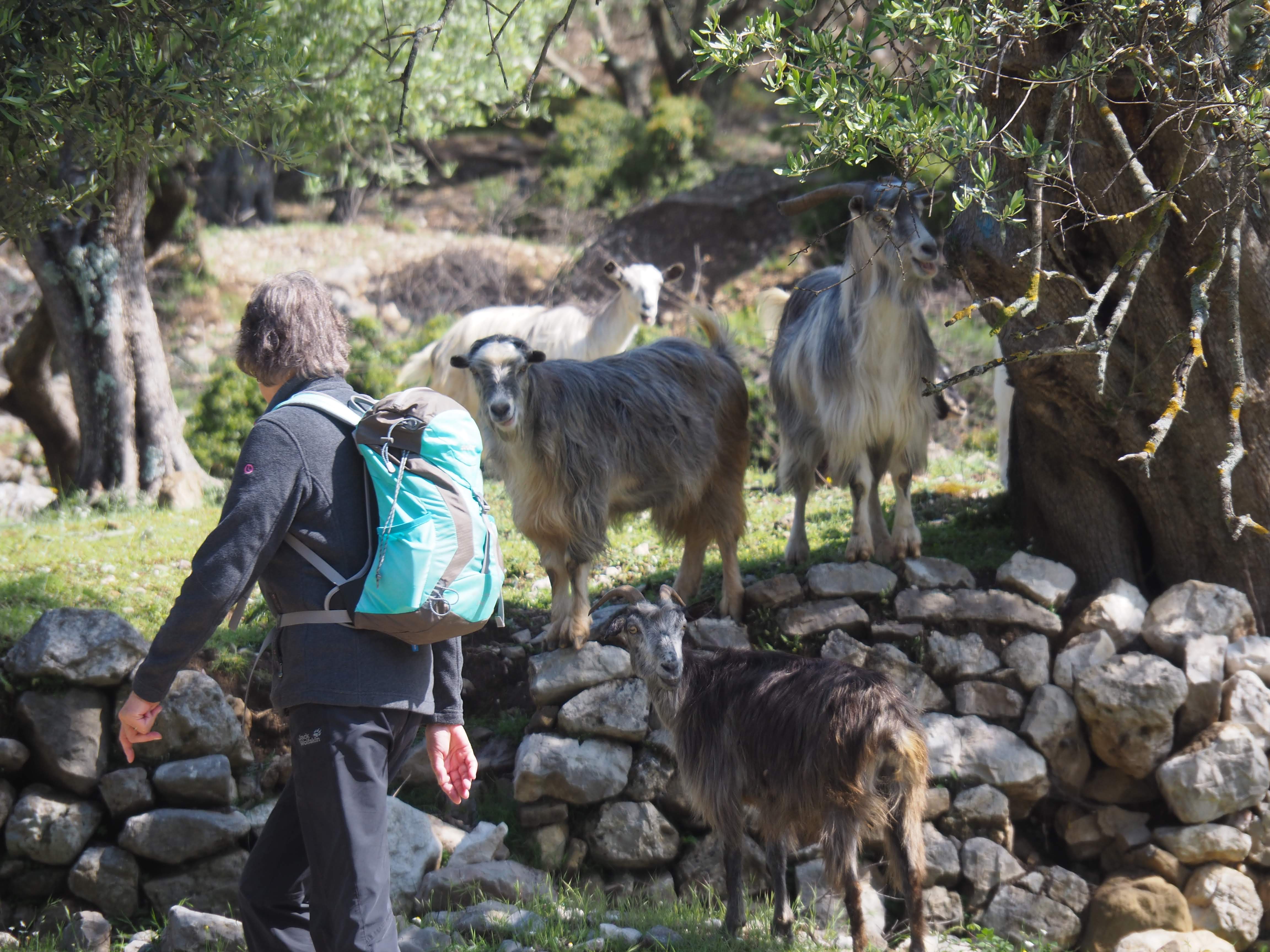 media_VCUBZUKXKUV2GX3Z