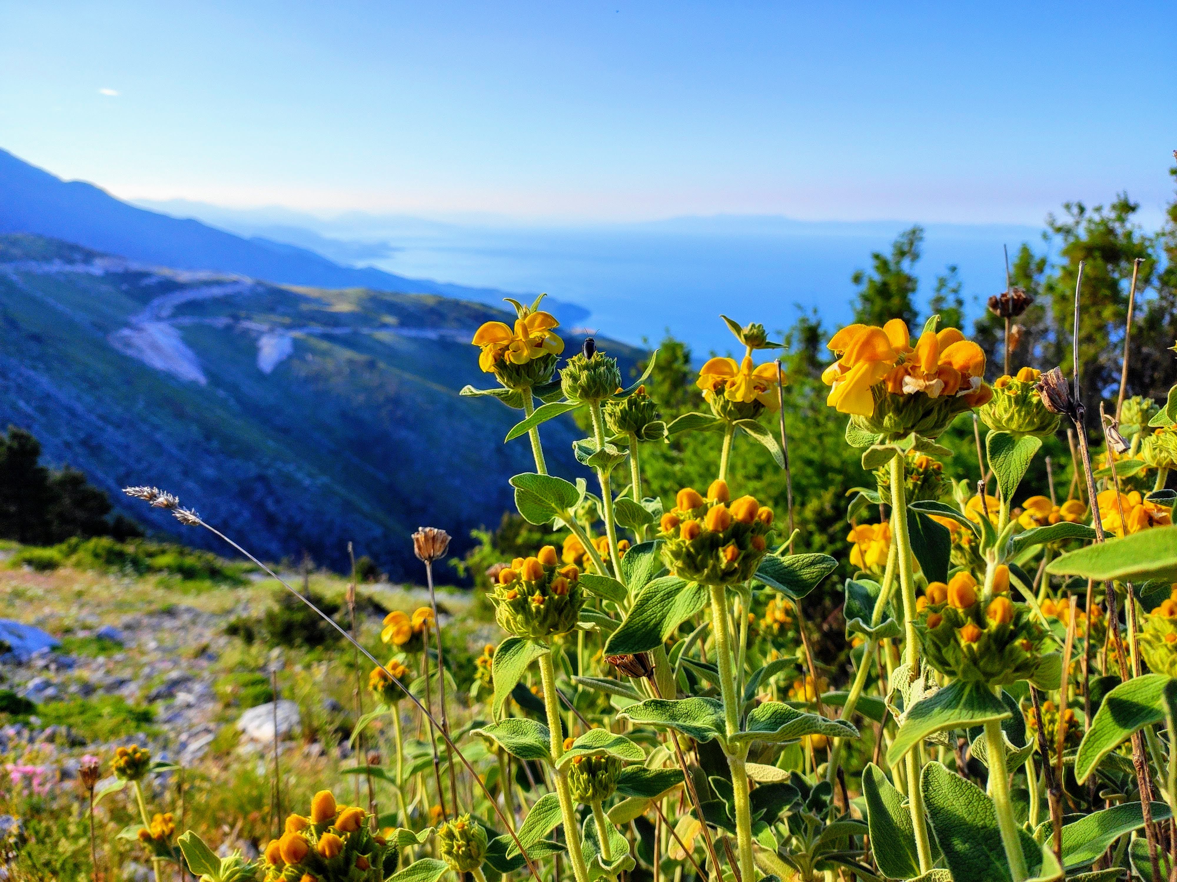 media_VVQUJBRBN9U95PVE