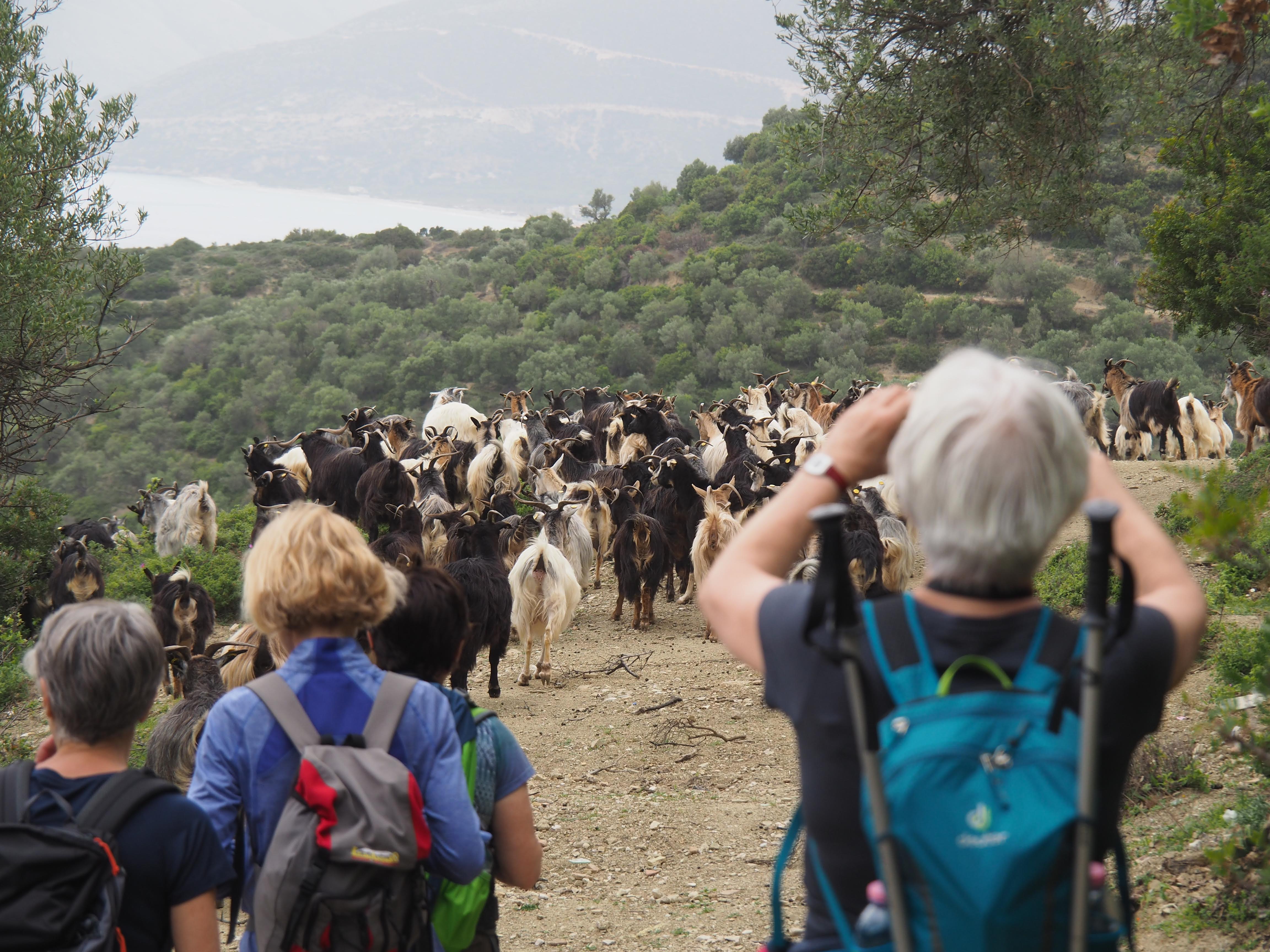 media_W39QCHESR9637WLB