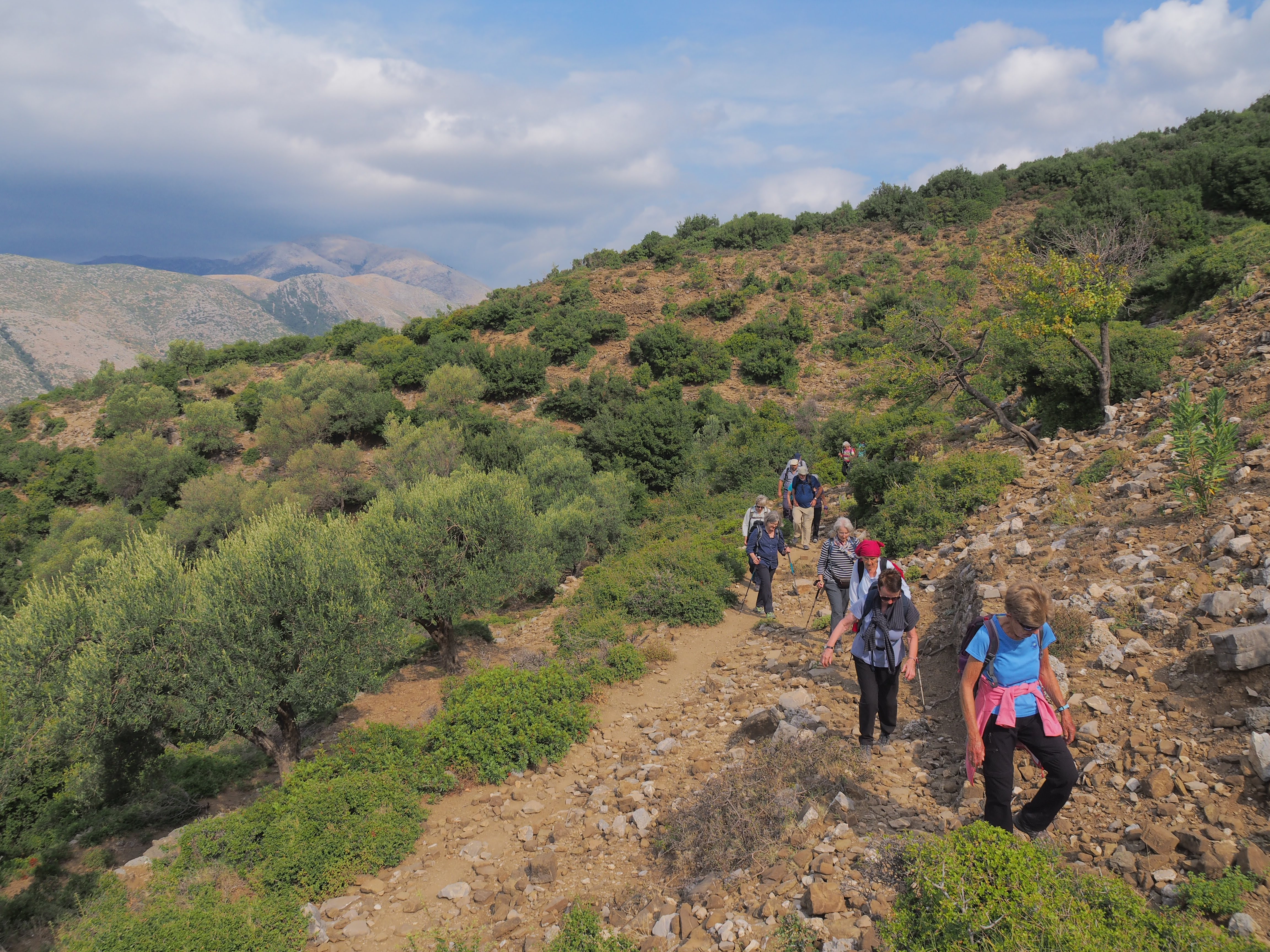 media_WN2HJZU5P54Z6SRP