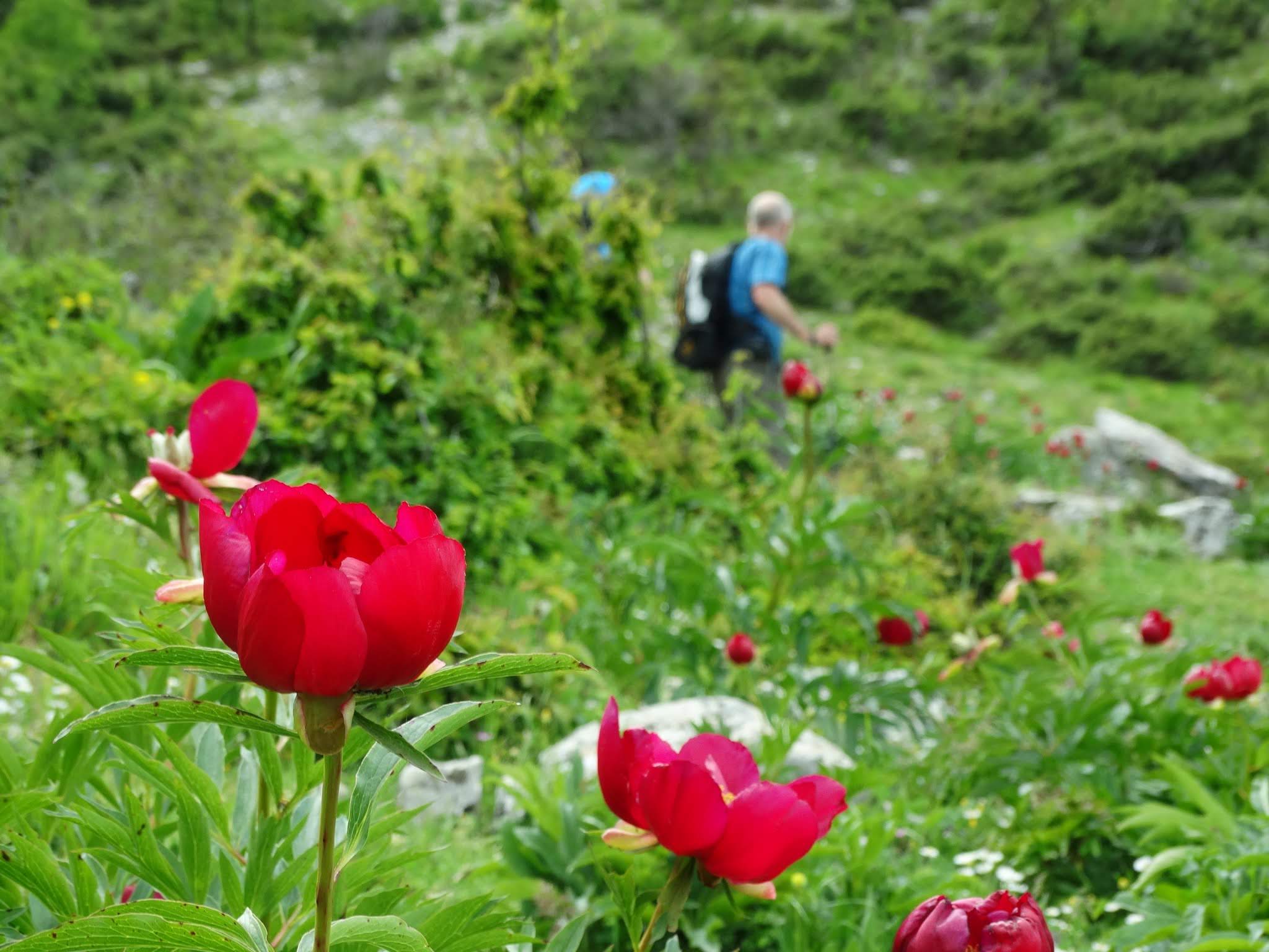 media_X9FH3AWZFCFWTD4X