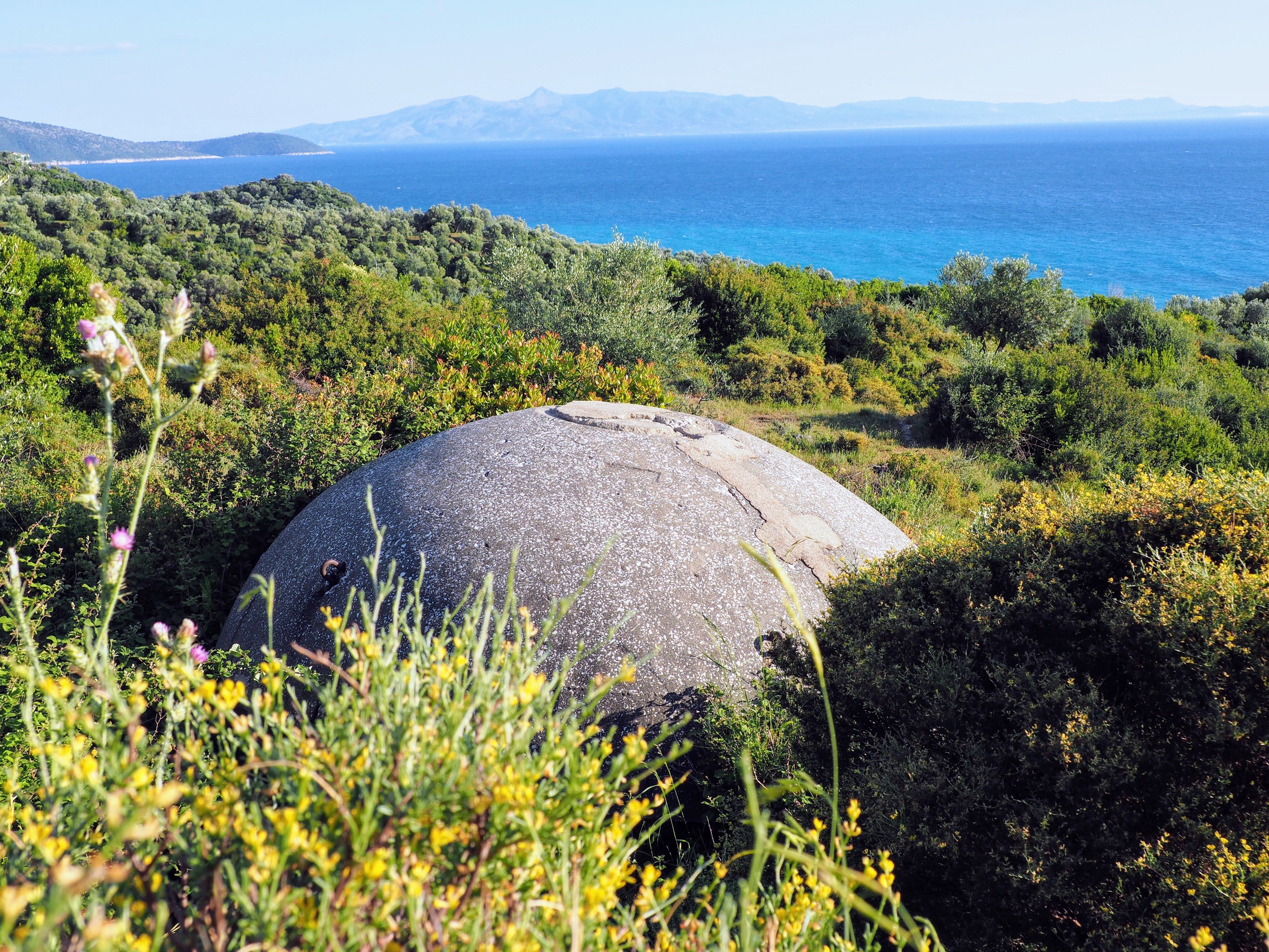 media_YKME5AP7FNSLQ9PZ