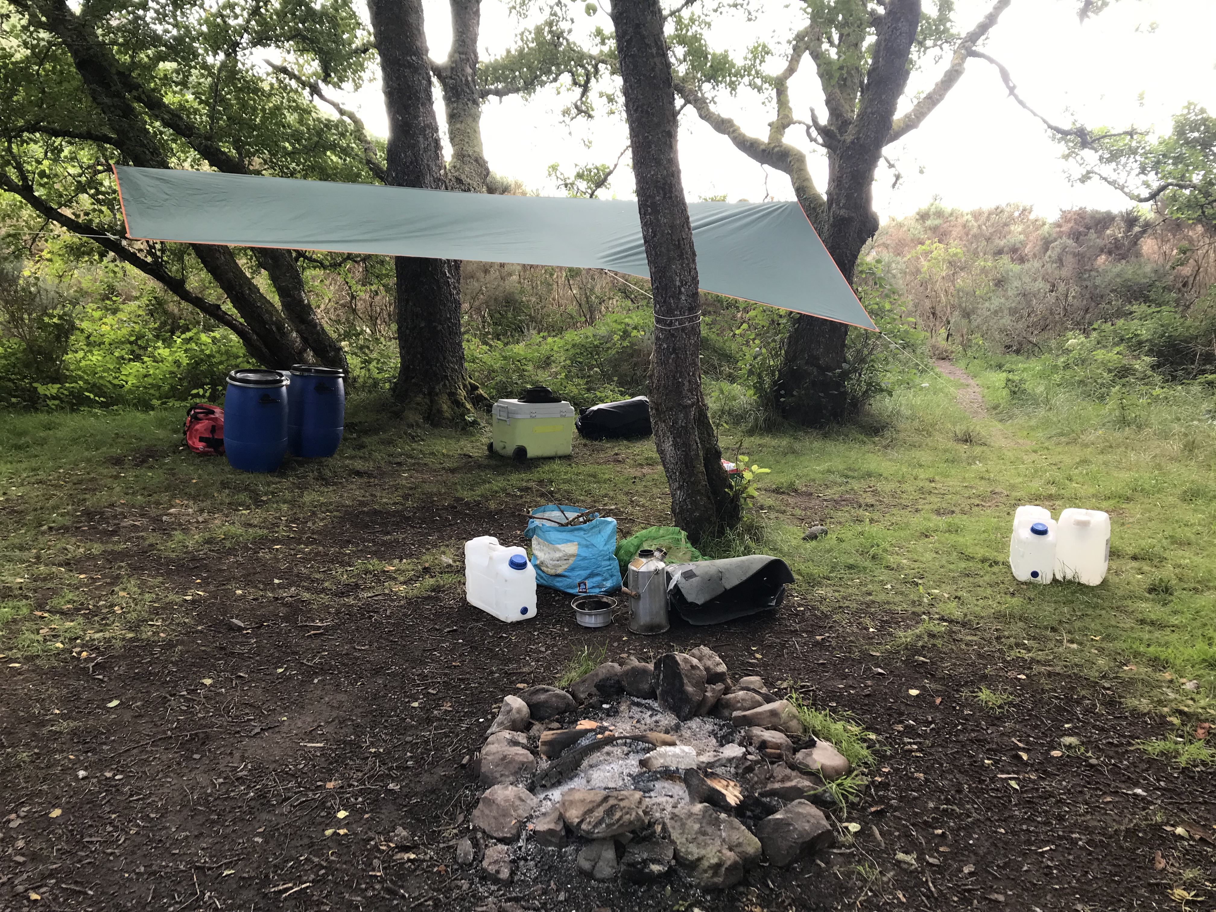 media_3NU9C9WQCK5BQ6LS