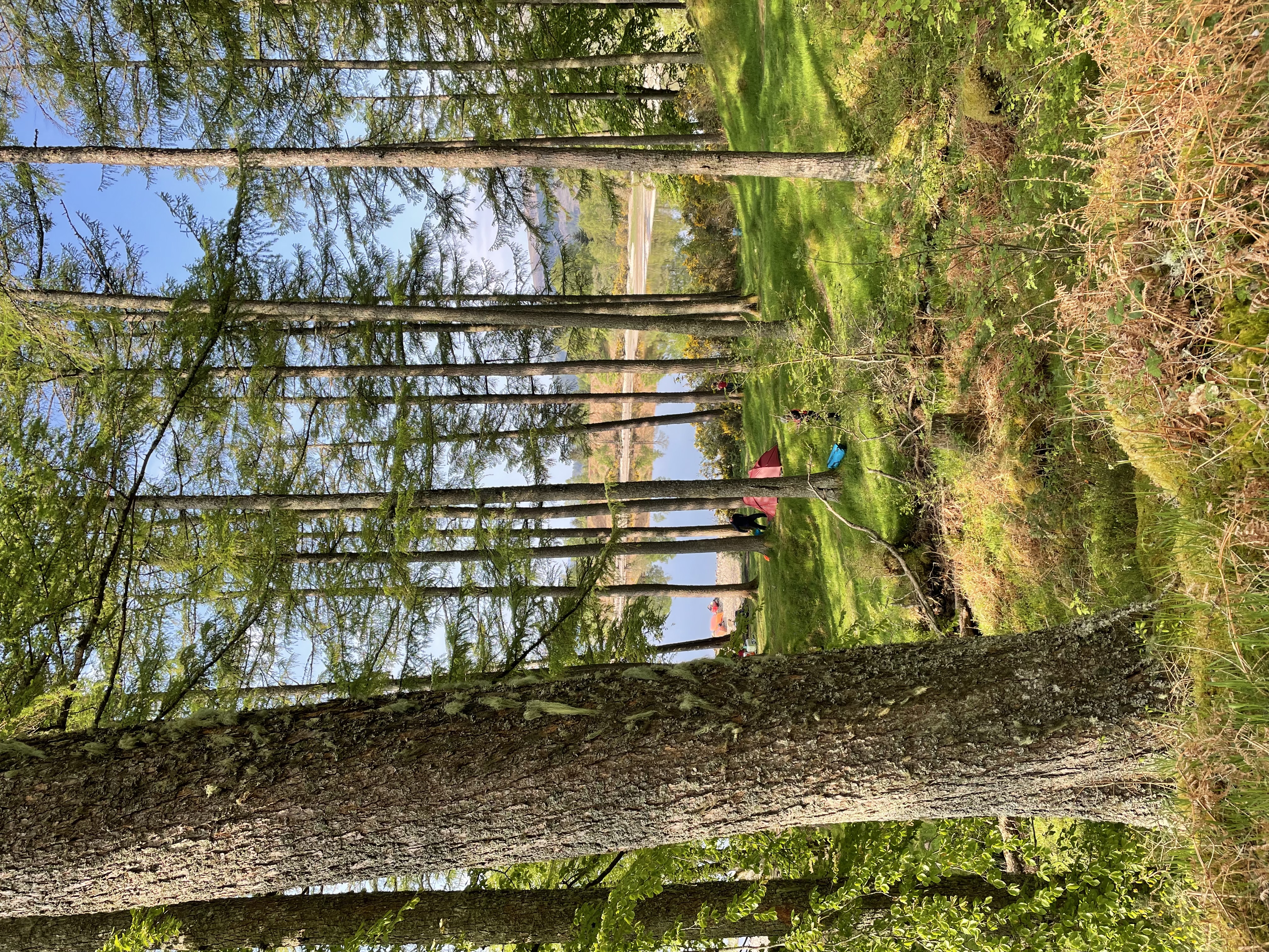 media_5P6C448Q92JBF74S