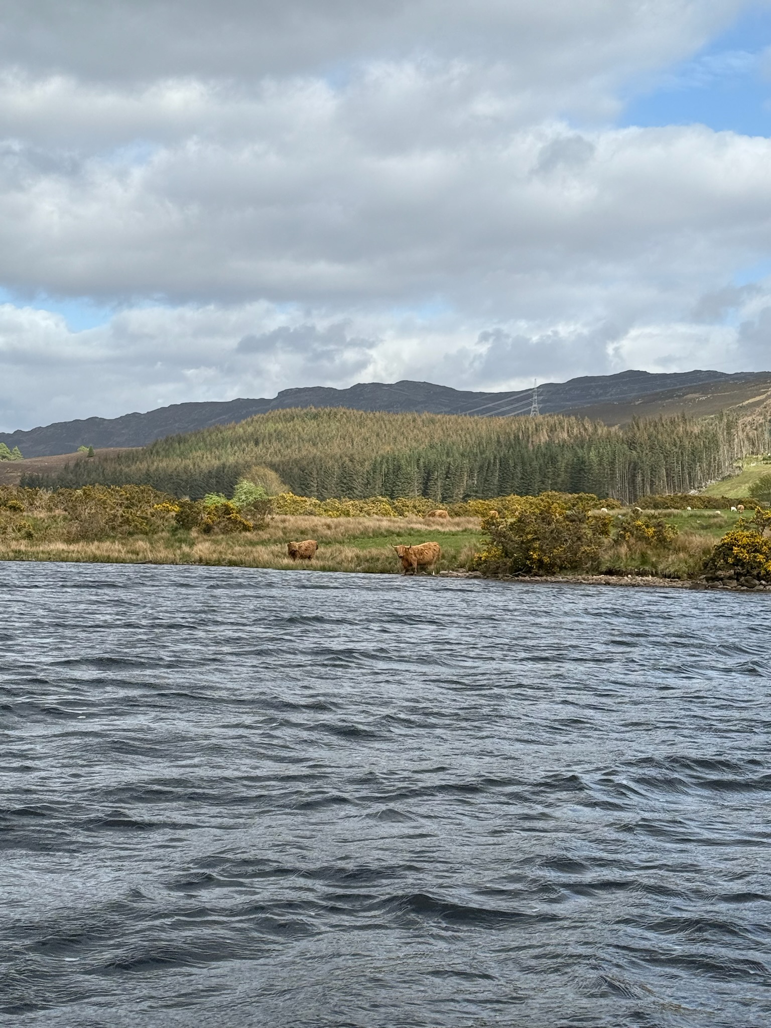 media_6S8YJQ9KHU6A8Q8B