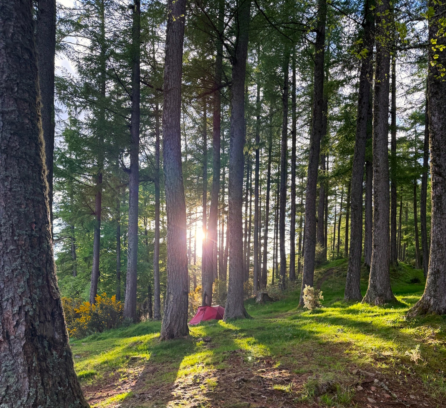 media_9RXPEMRKMHP8KVYQ