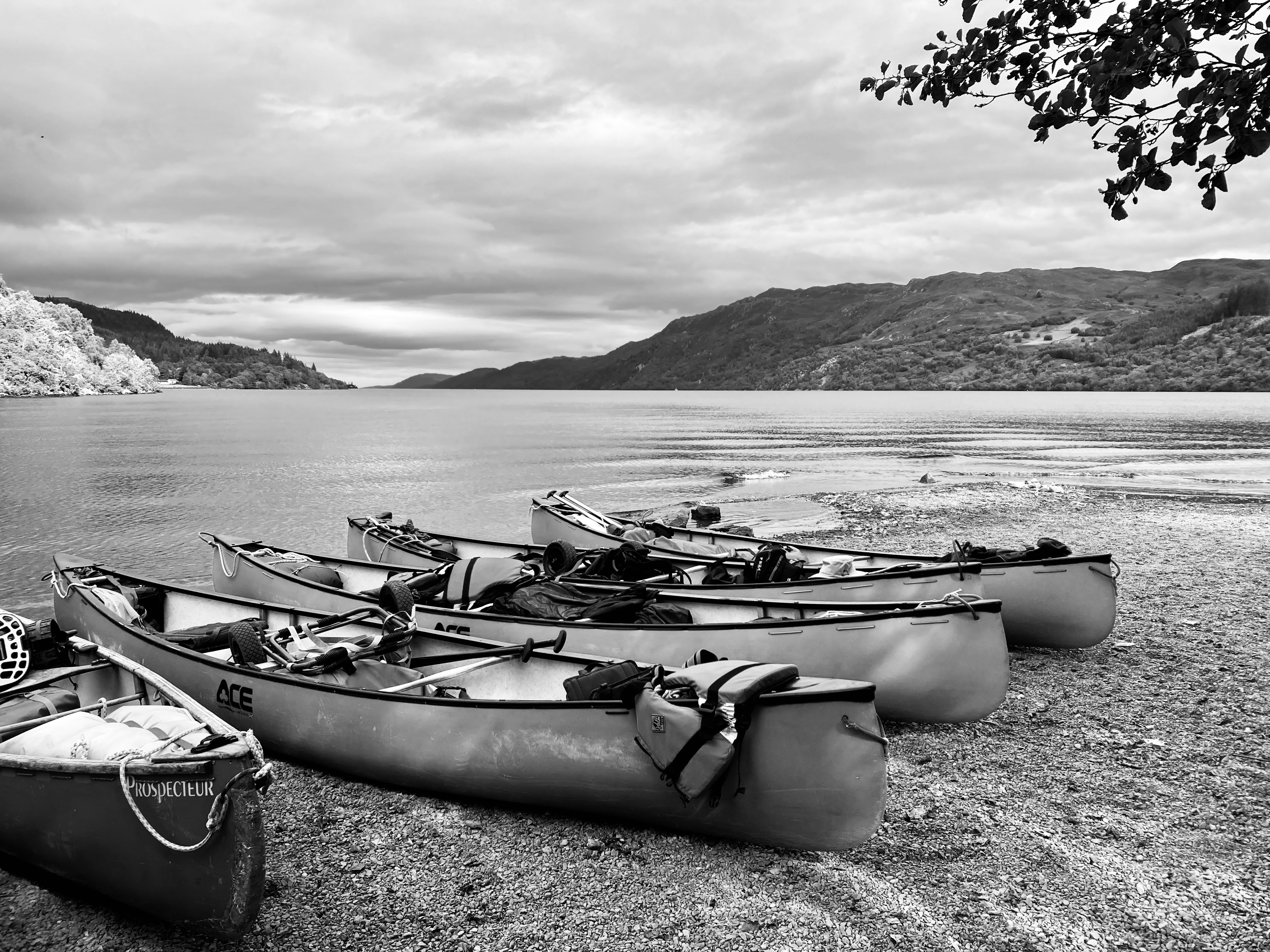 media_B7NCDAPR43MNABA6