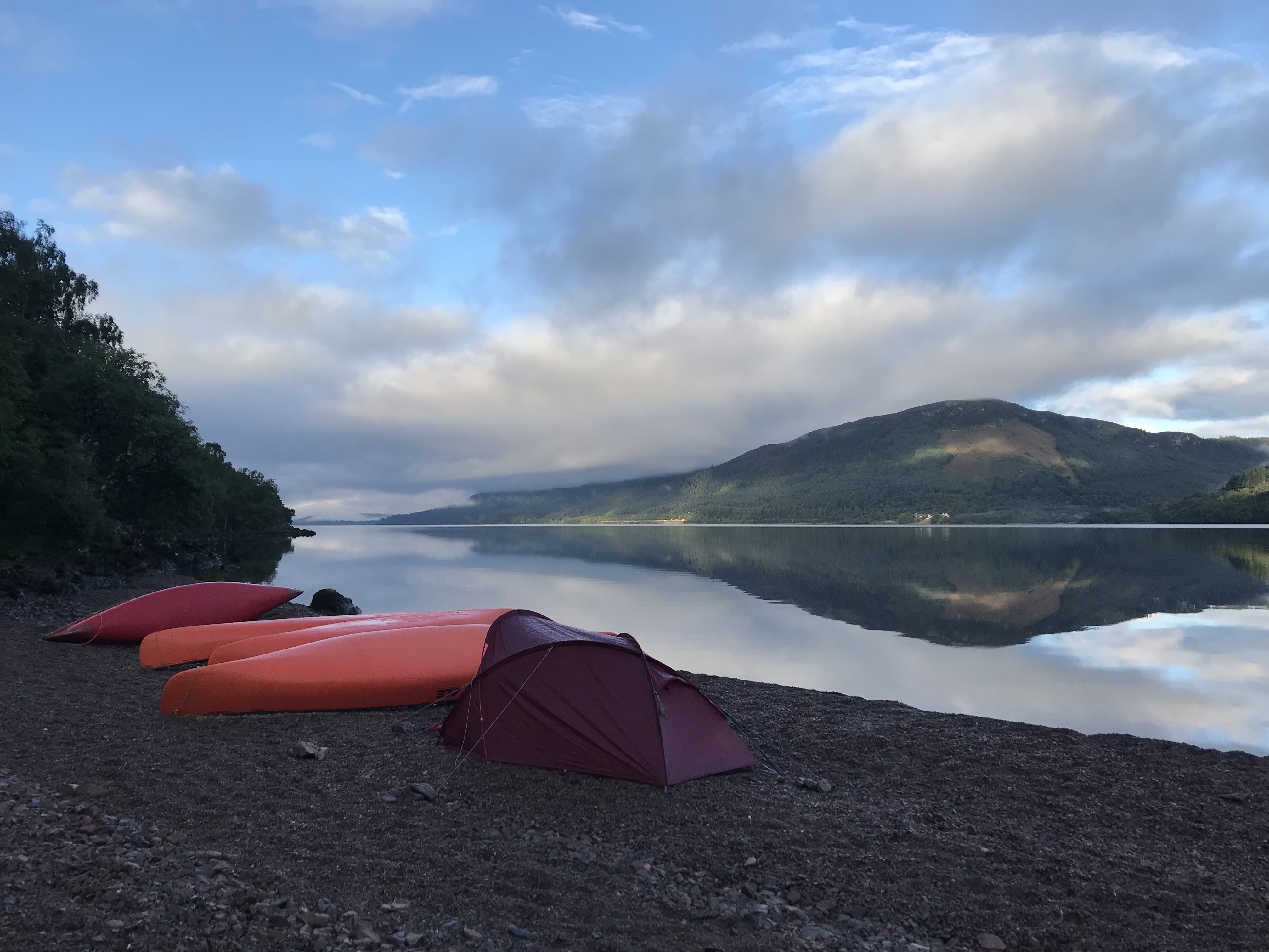 media_FT4QCJVM87MWWQLU