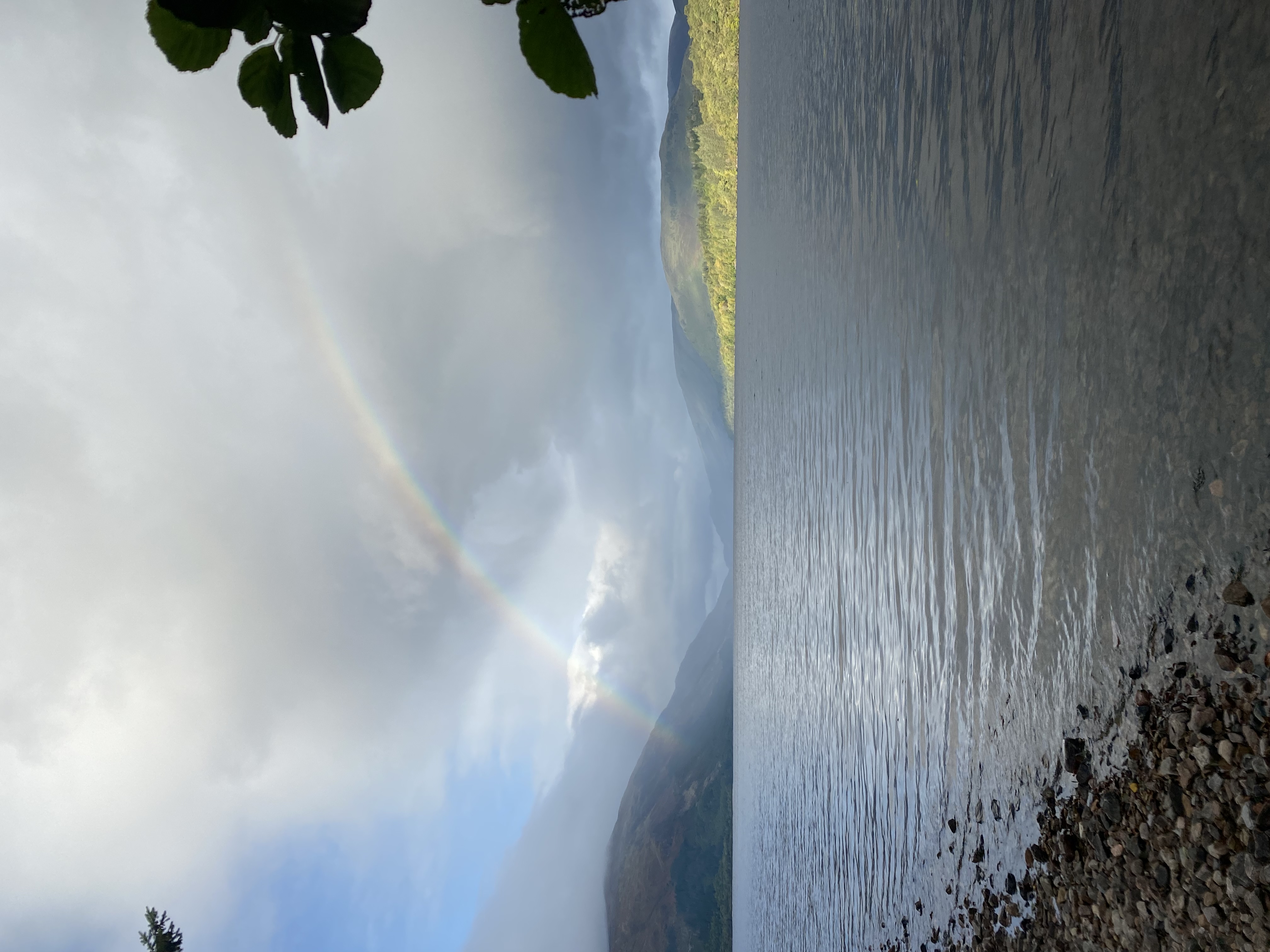 media_GRG8J88N458Q8A6V