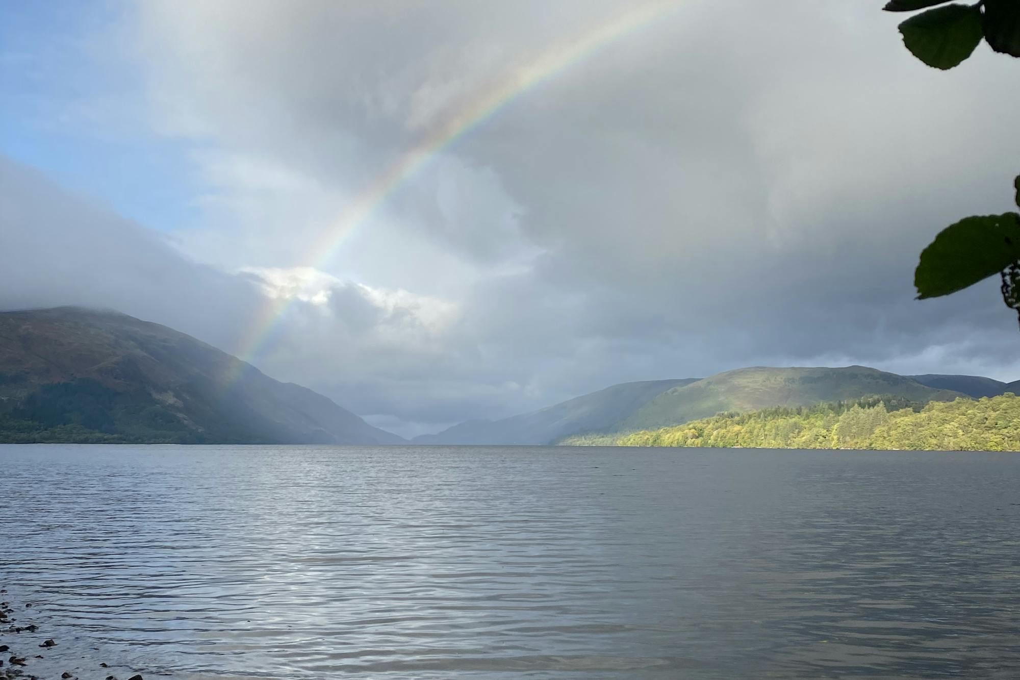 media_GRG8J88N458Q8A6V