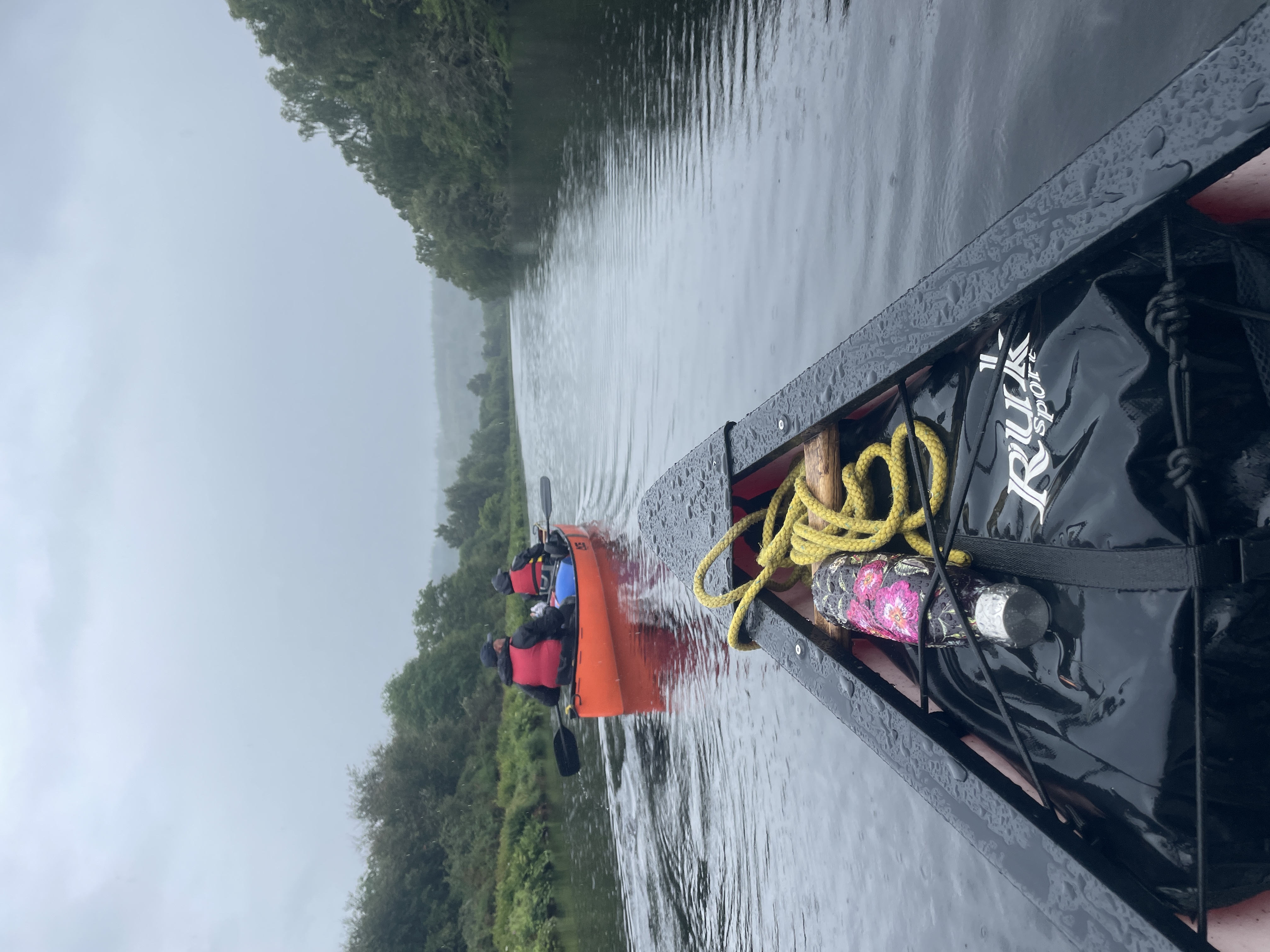 media_H2EQG67AXZUQE9Q4