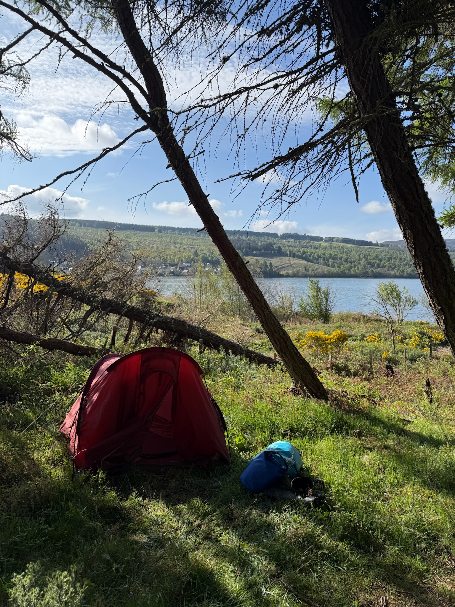 media_MMCPDBUT8ZH7XJ38