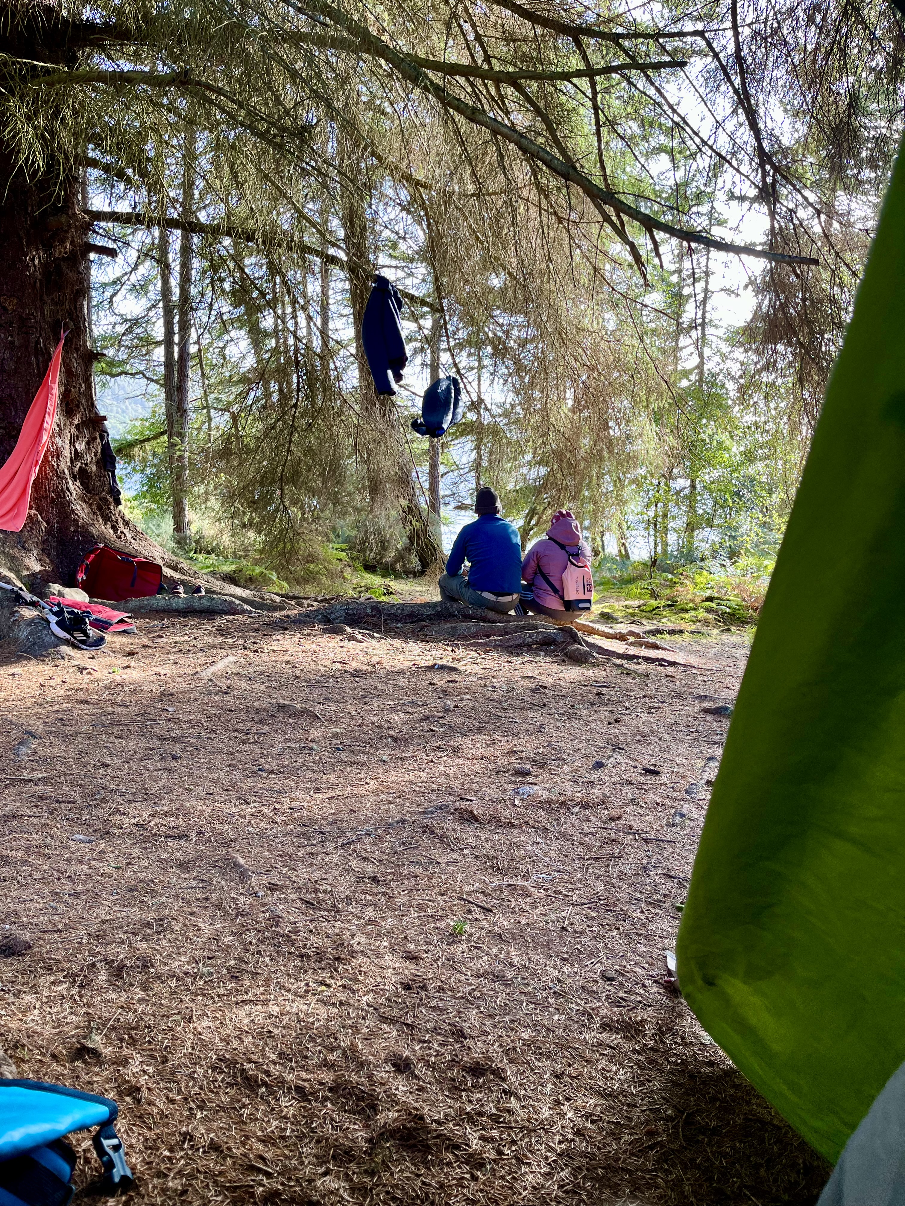 media_QMJSVW8WRXUG4C7W