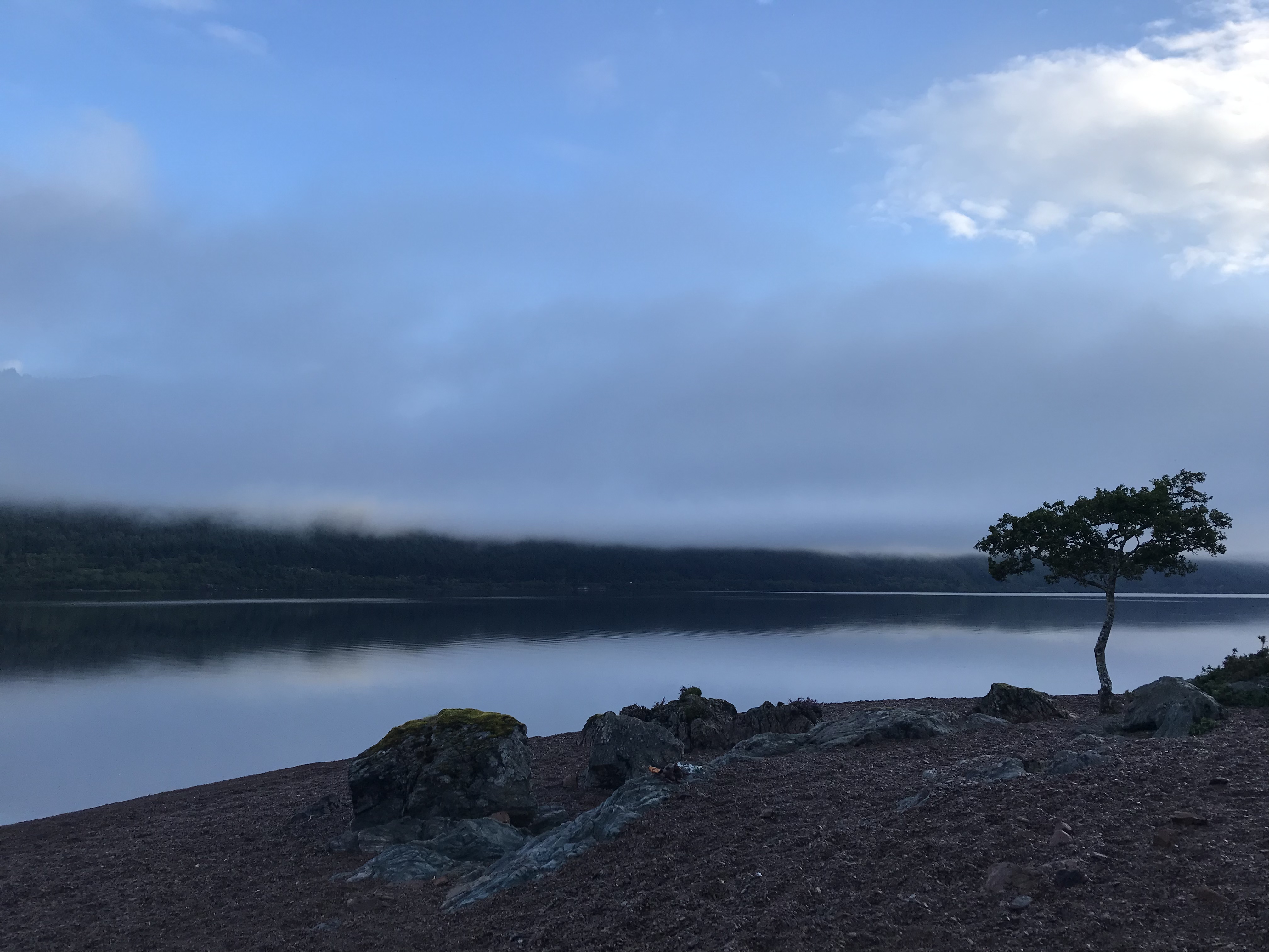 media_QWP49MHDBK4ULHQT