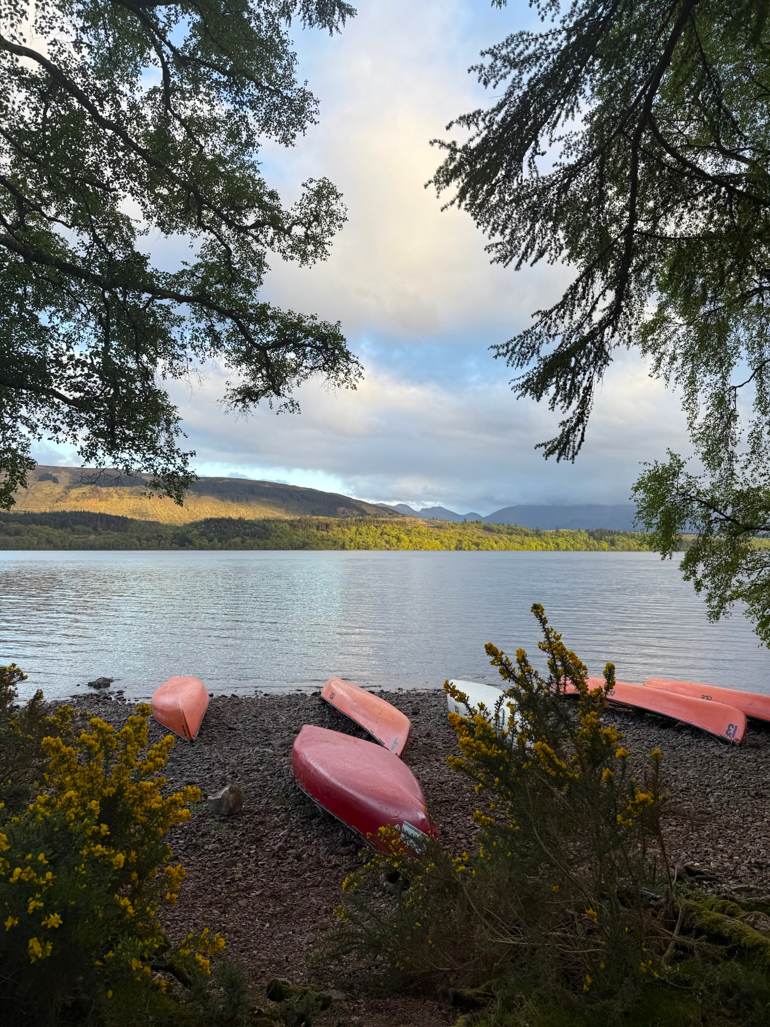 media_R9ERFG2WJB2XRVH3